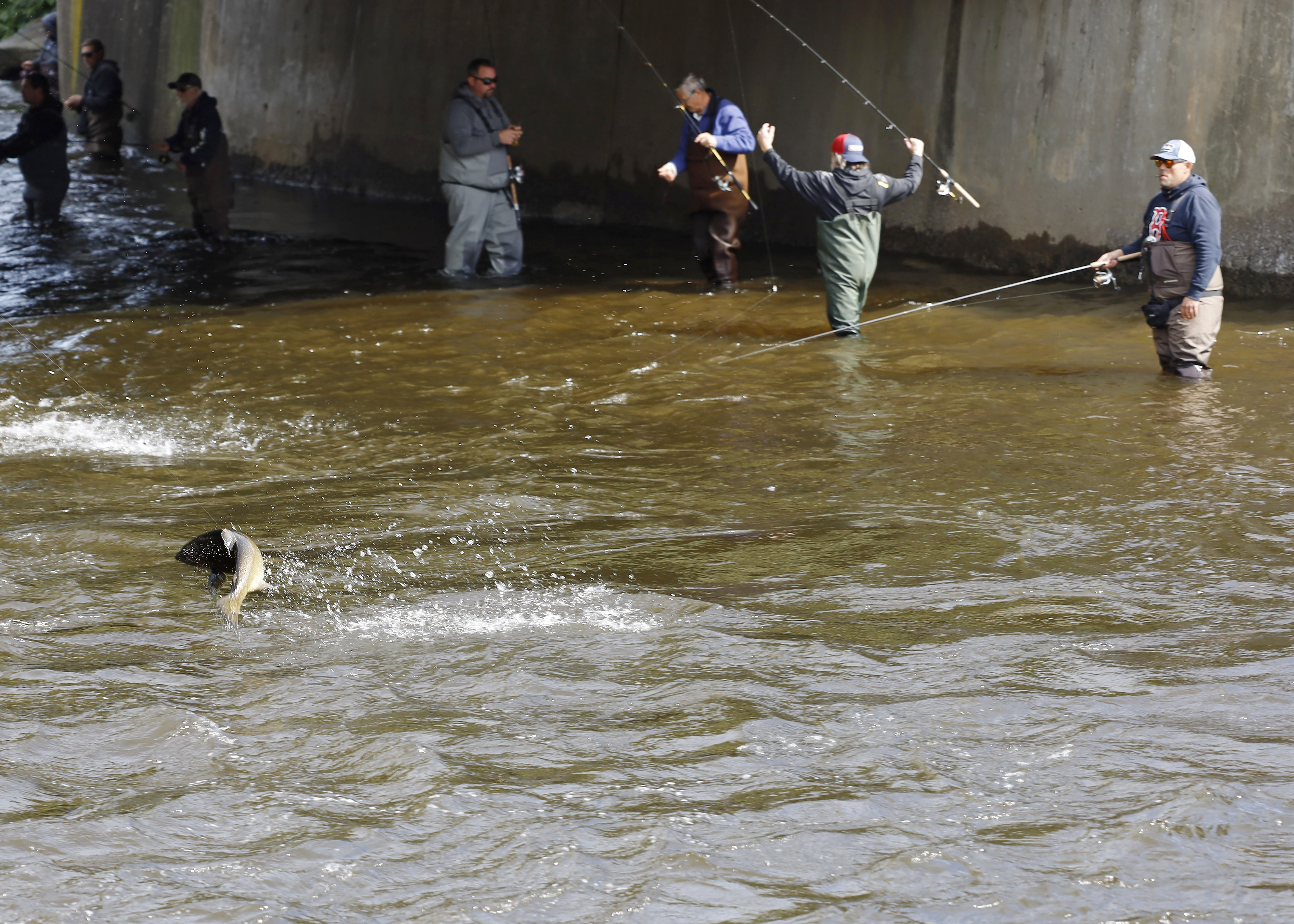 2022 Salmon River Run 