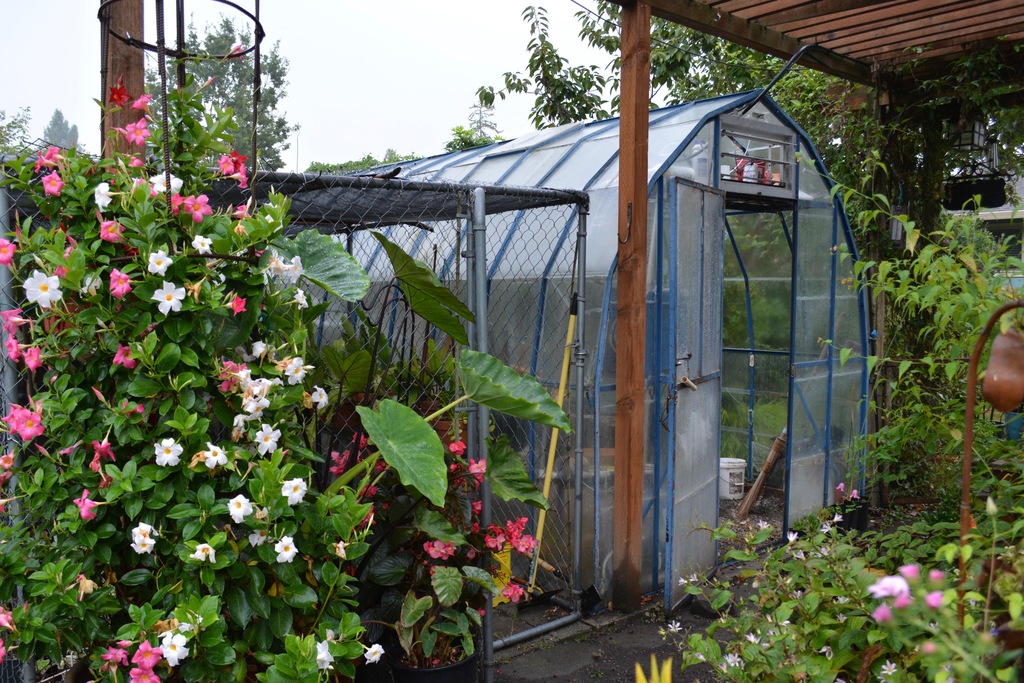 Greenhouses in Oregon