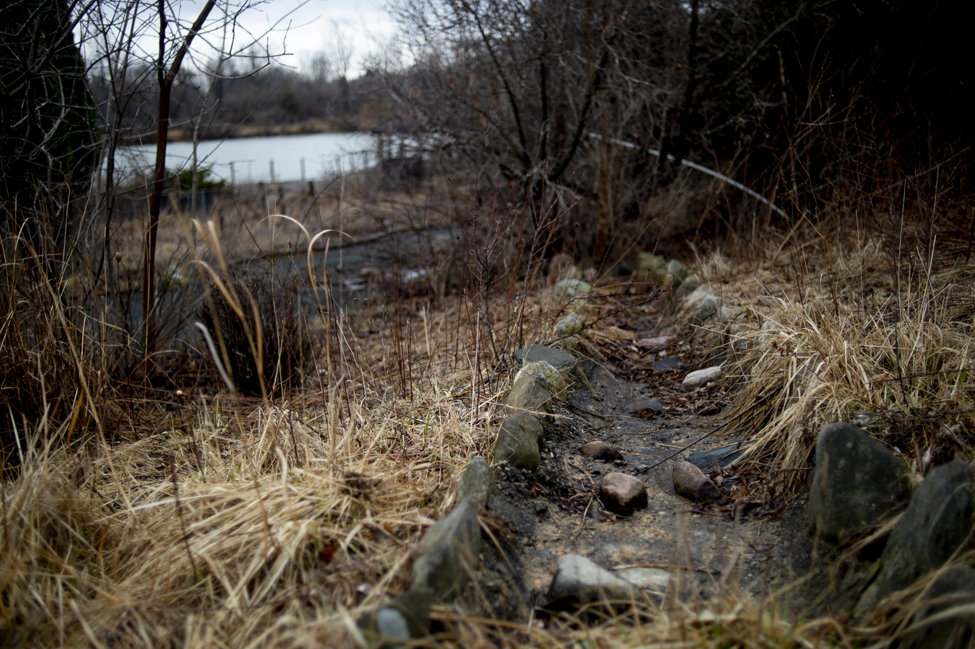 Pirate's Park could reopen with Flint area's support, entrepreneur says 