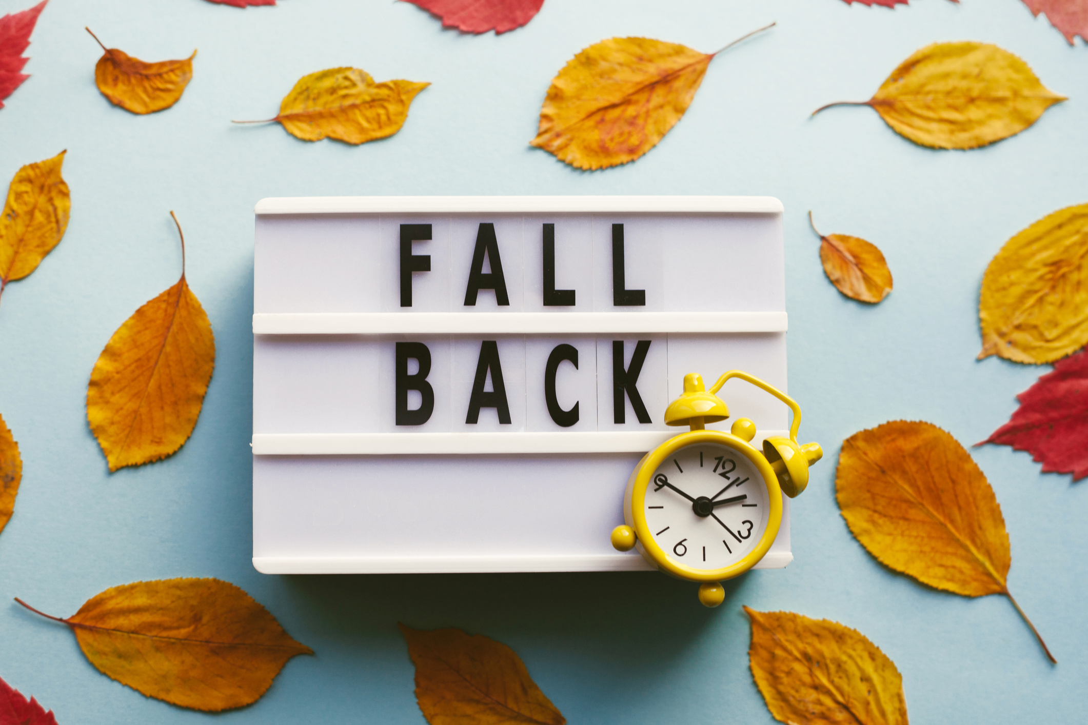 When is US Daylight Saving Time 2023? What is it? When to 'fall back', USA