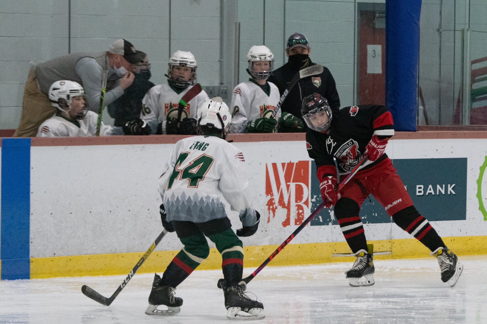 1-16-22 Westfield Youth Hockey Fire & Ice Tournament - Pee Wee Group B ...