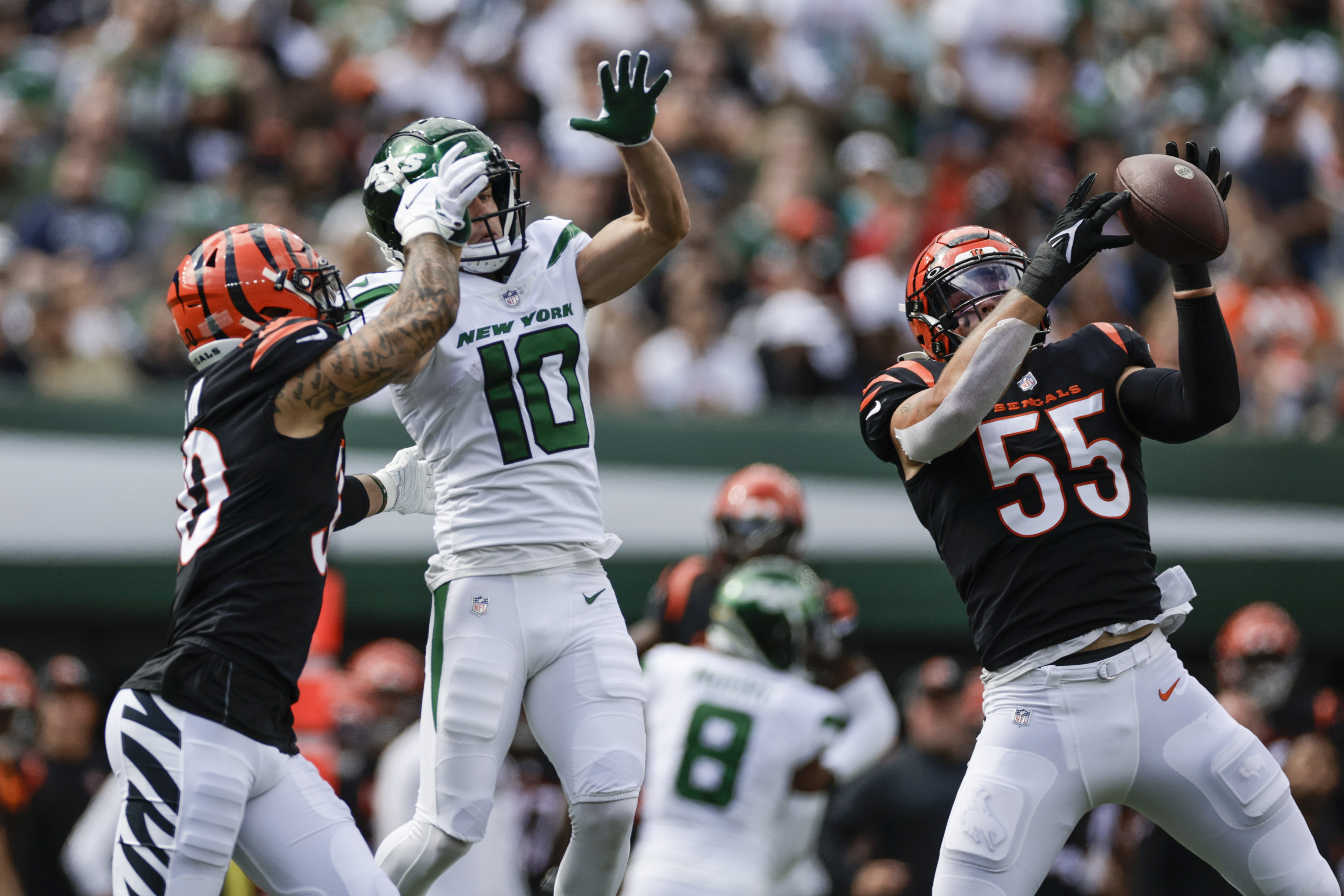 Cincinnati Bengals' Logan Wilson (55) runs past New York Jets' Max