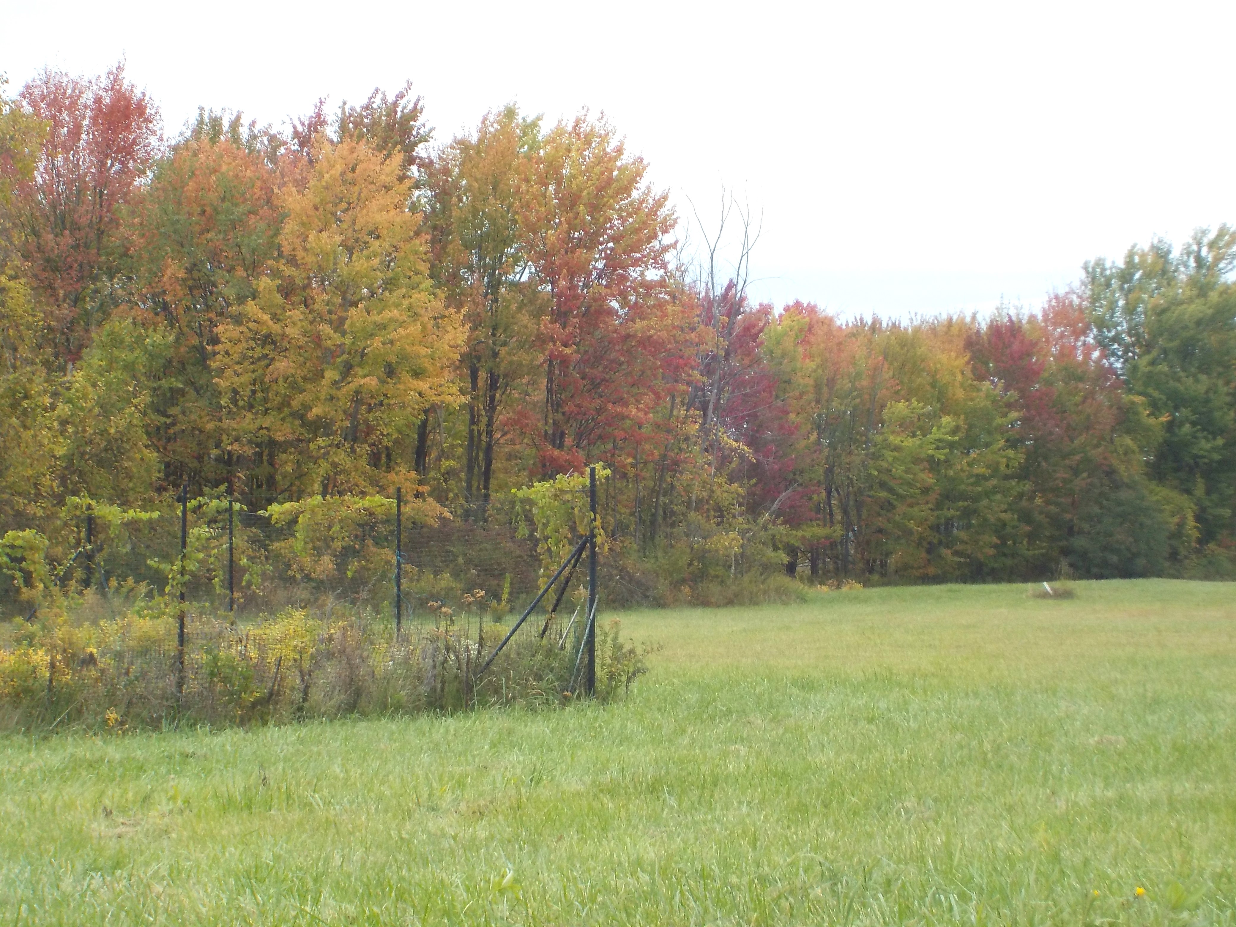 Column: Inaugural Field of Dreams won't be topped