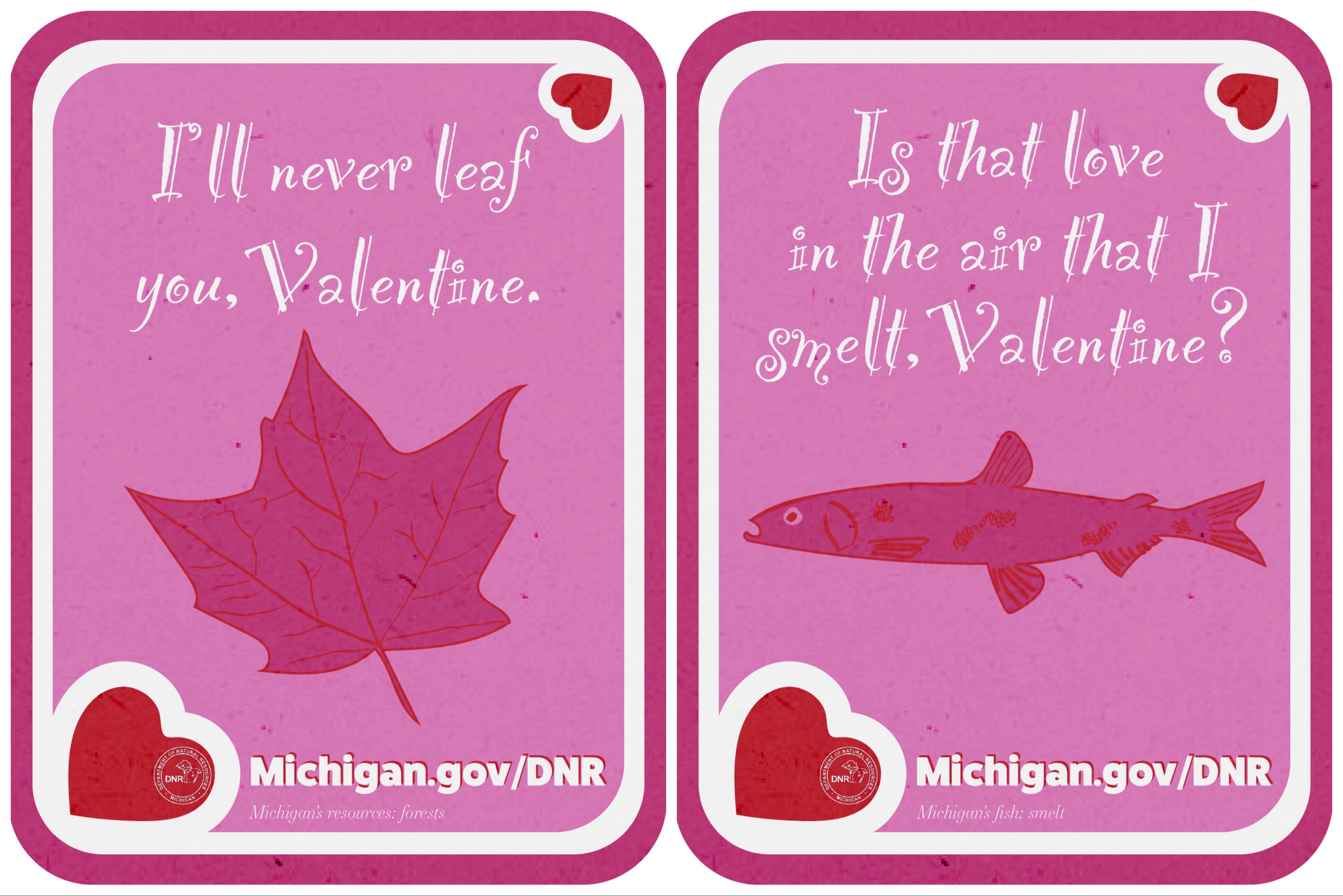 Naughty Fishing Pun Valentine's Card