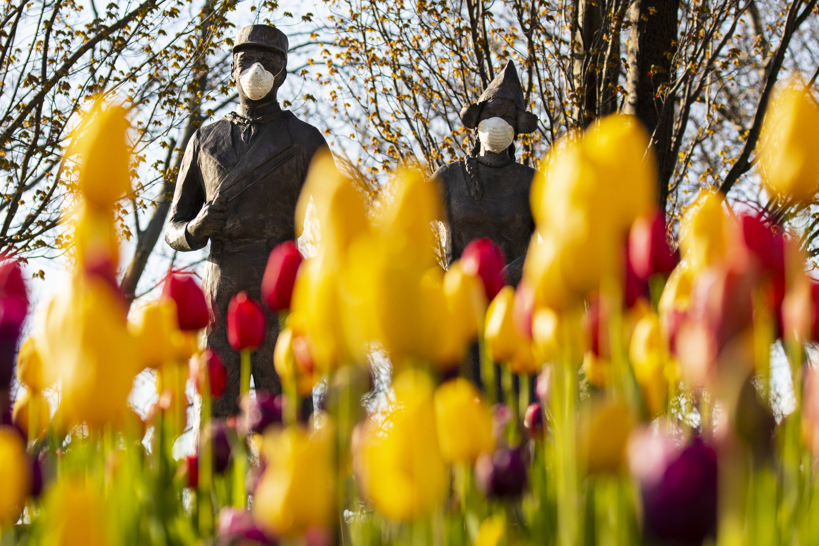 Holland's annual Tulip Time festival returning this year with 'a twist' -  