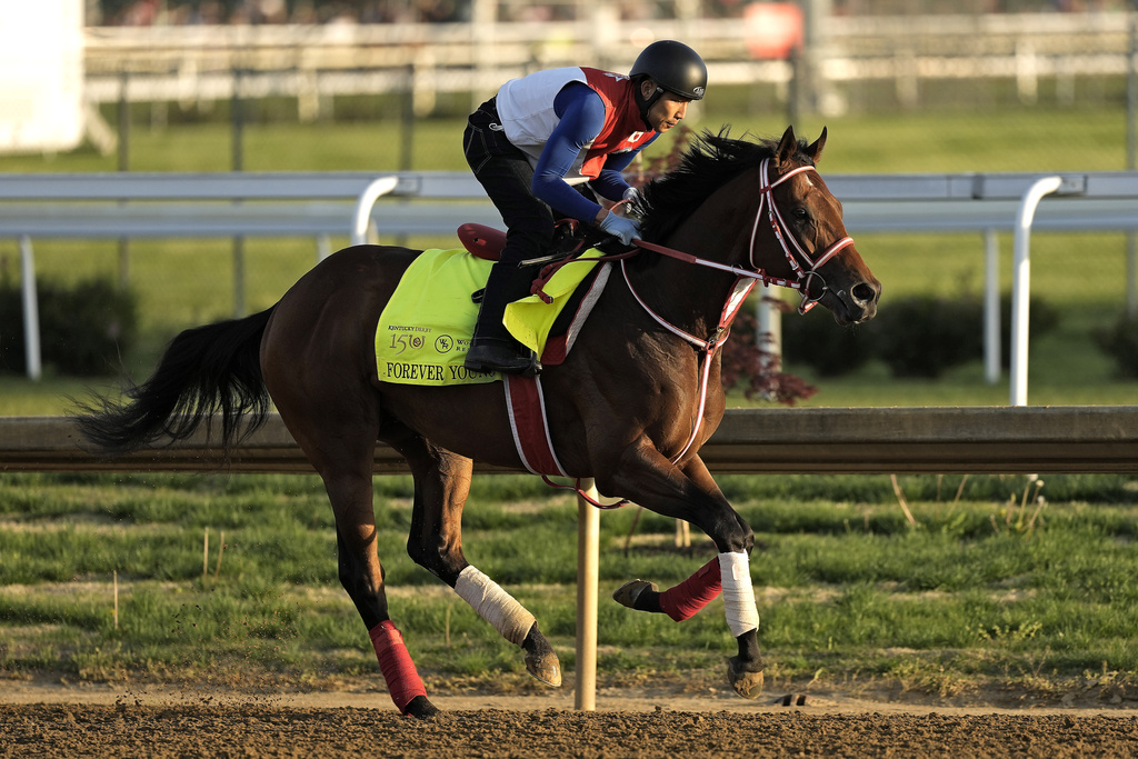 Preakness Stakes 2024 predictions, Mystik Dan odds Win, place, show