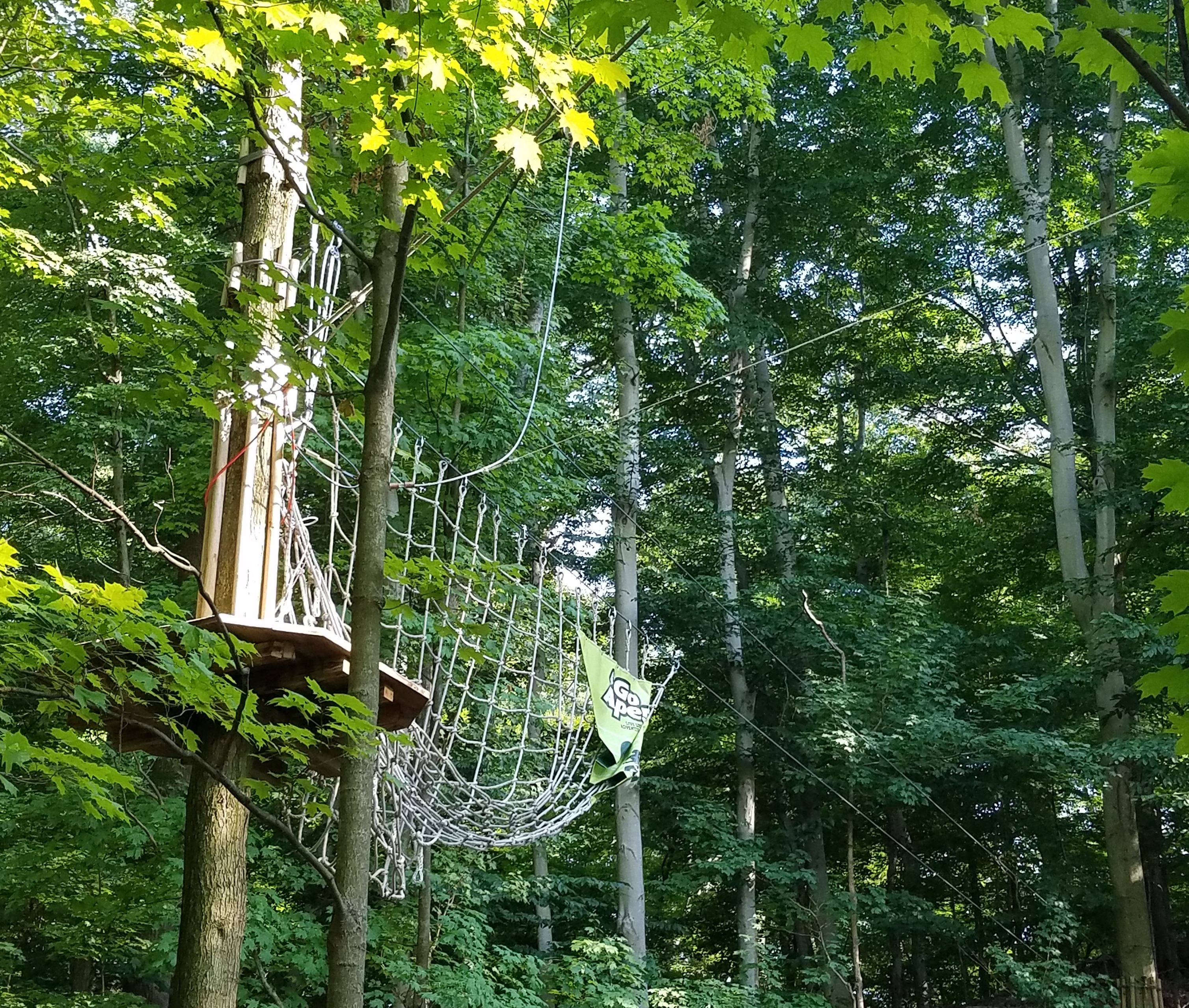 Get in the swing and go ape in the Metroparks: Strong Points