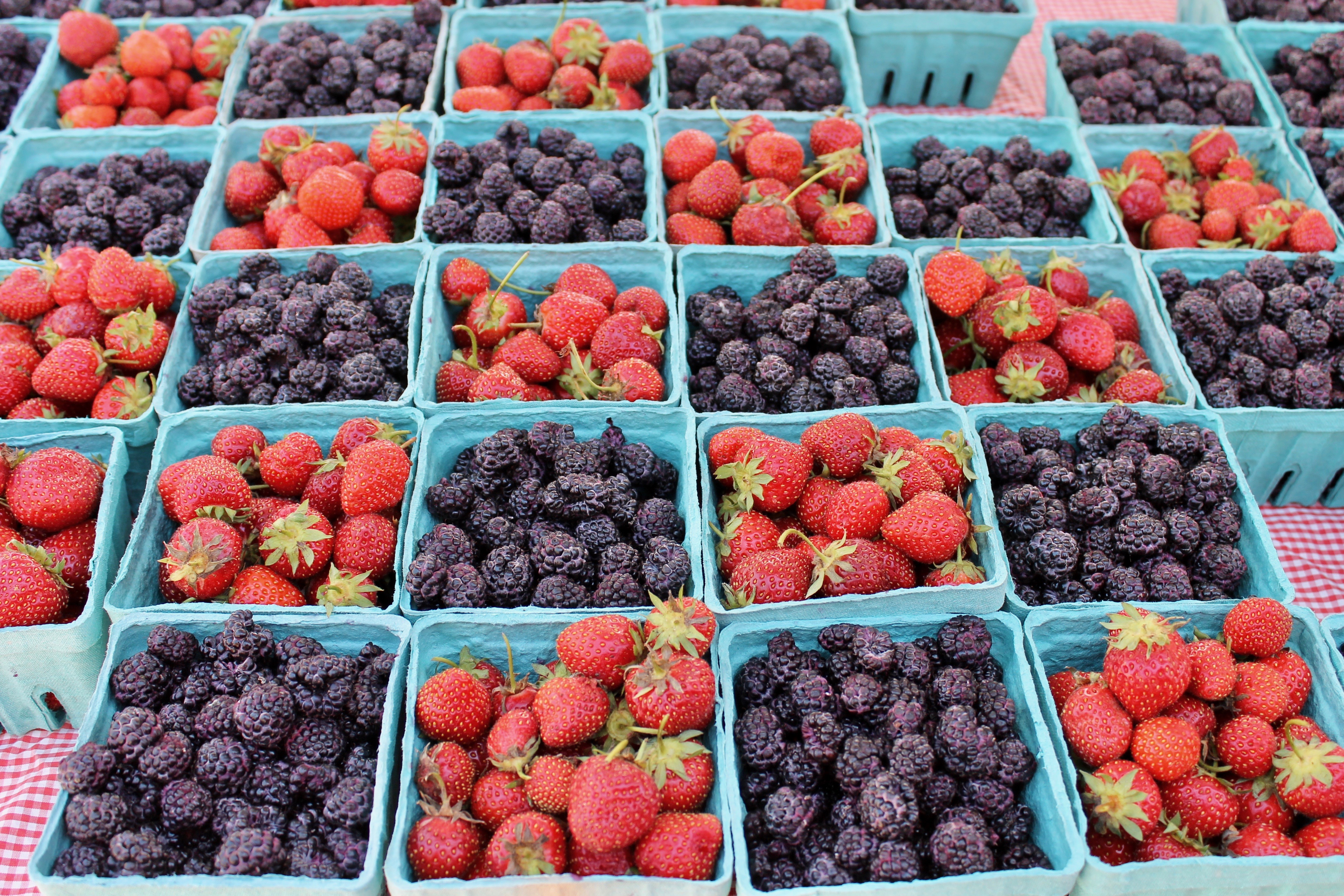 Sun News Medina Farmers Market