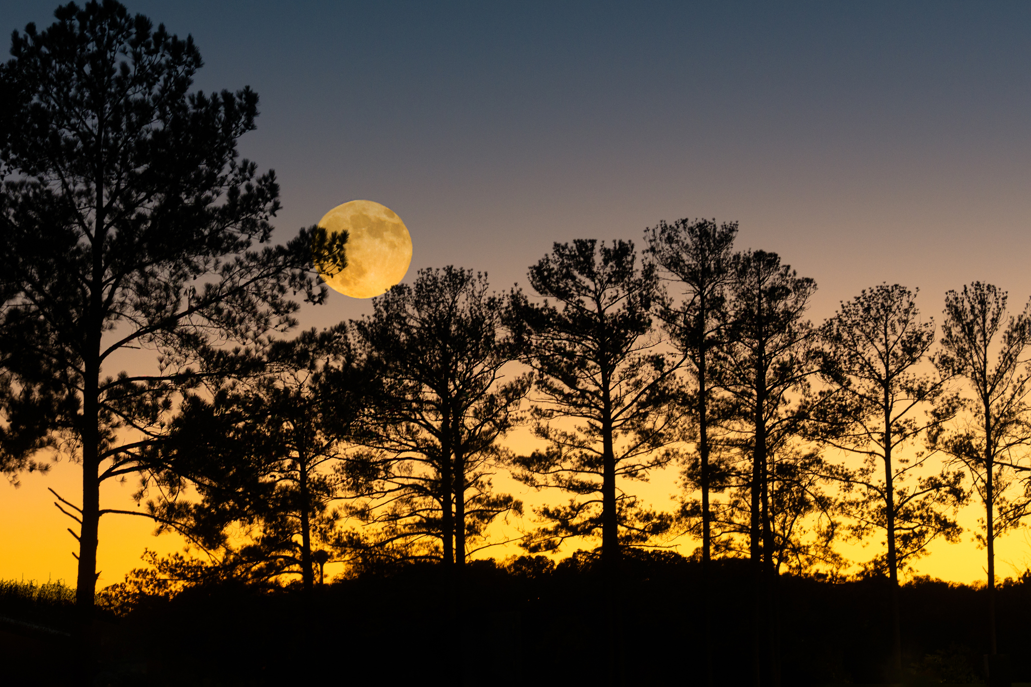Full Harvest Moon will rise with a Sky Triangle this weekend