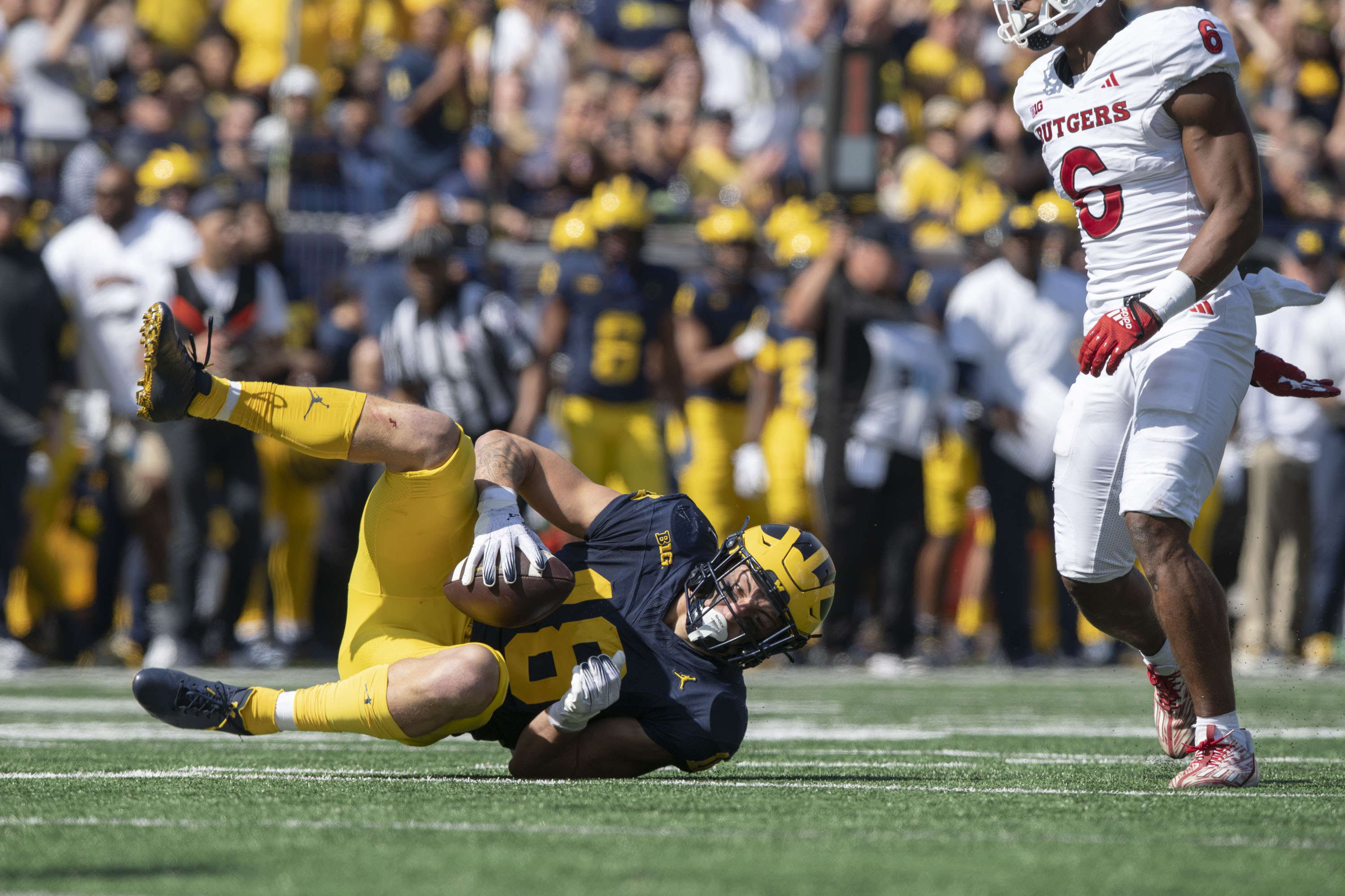 Snap counts, PFF grades: Roman Wilson leads Michigan offense with  incredible TD grab 