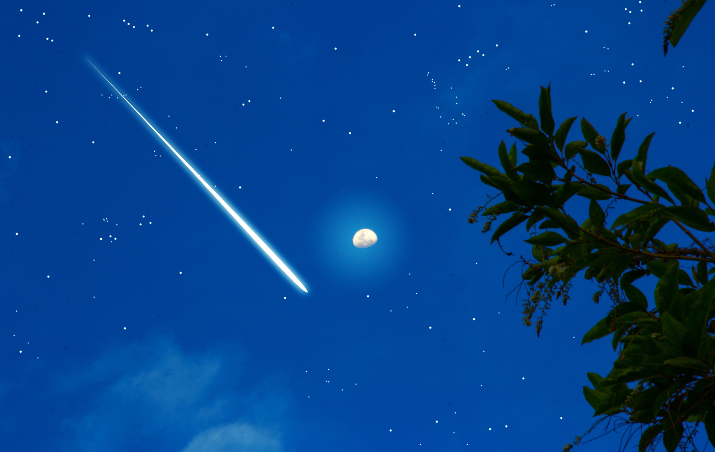 Most powerful meteor bathe of yr now lively, peaking with ratings of capturing stars in December