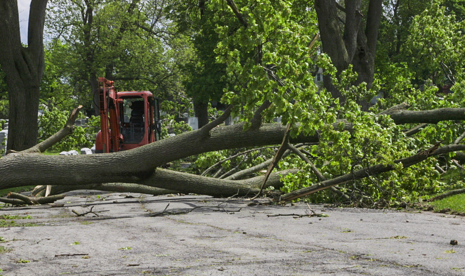 ‘Absolute Mess’ Of A Storm System Could Bring Power Outages, Flooding ...