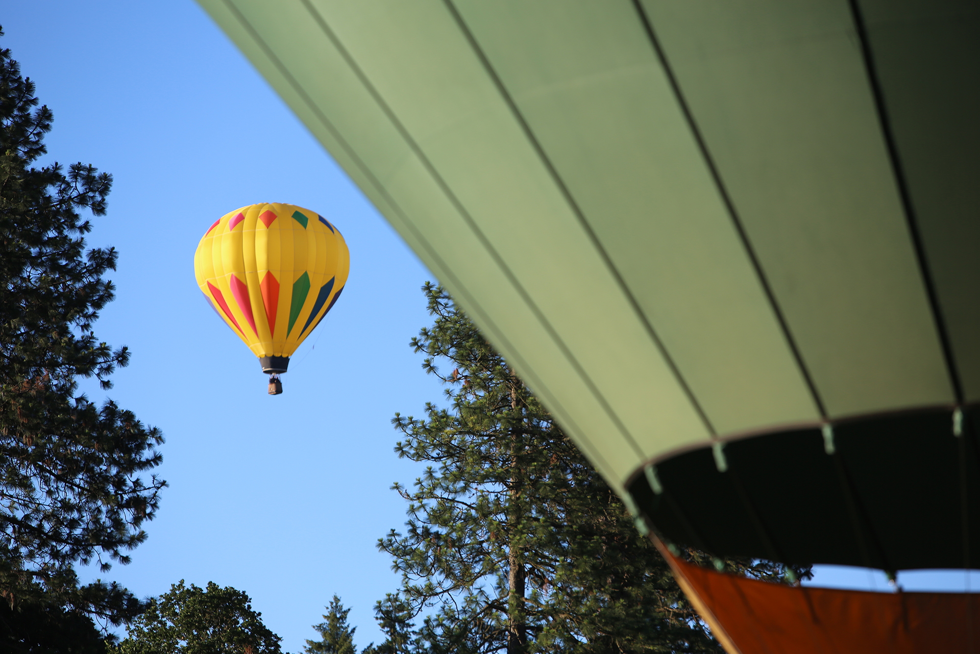 Tigard Festival of Balloons, Salem World Beat, and Comedy in the