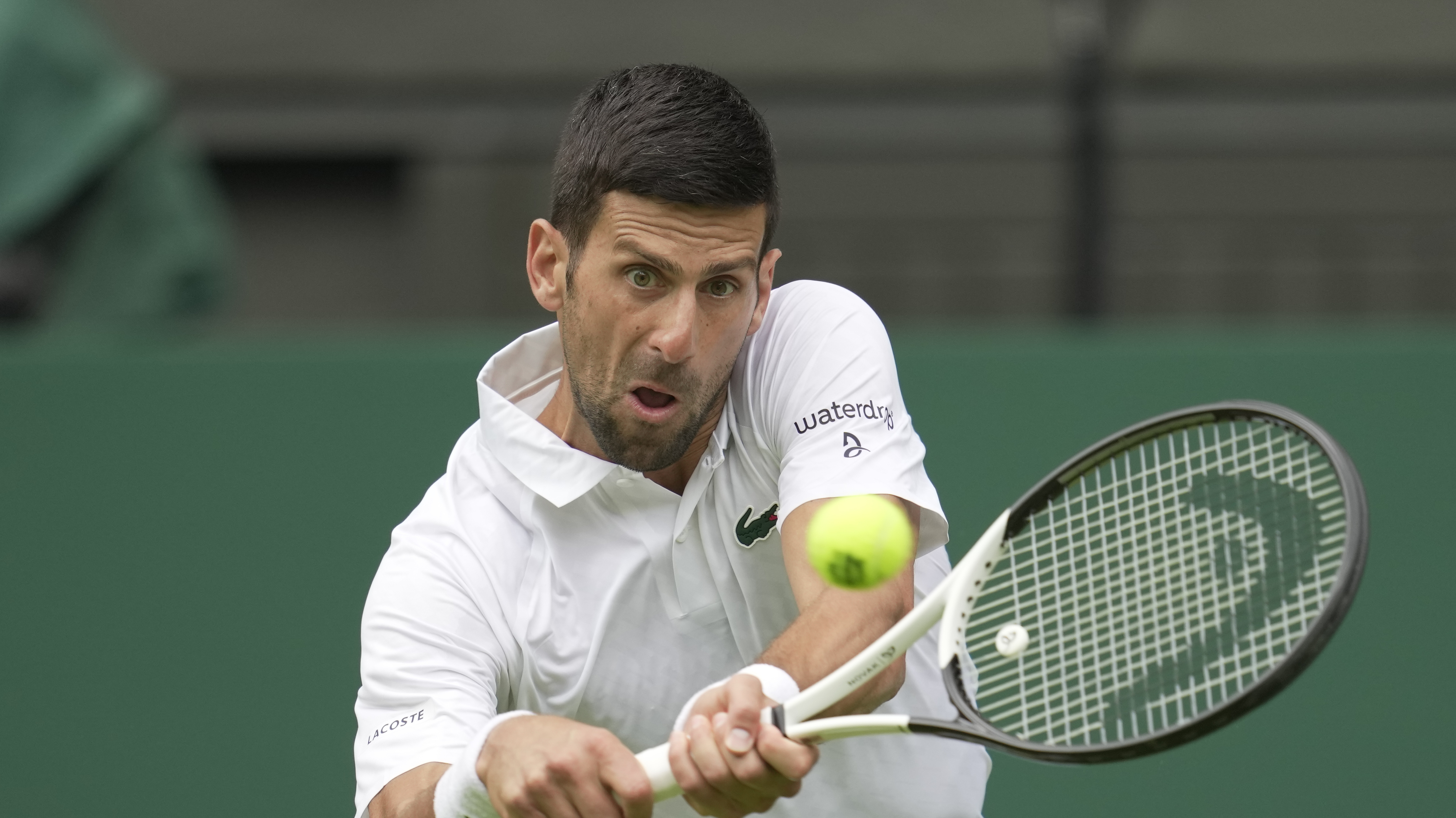 Wimbledon 2023 Odds - See Favorites for Men's Singles and Women's Singles