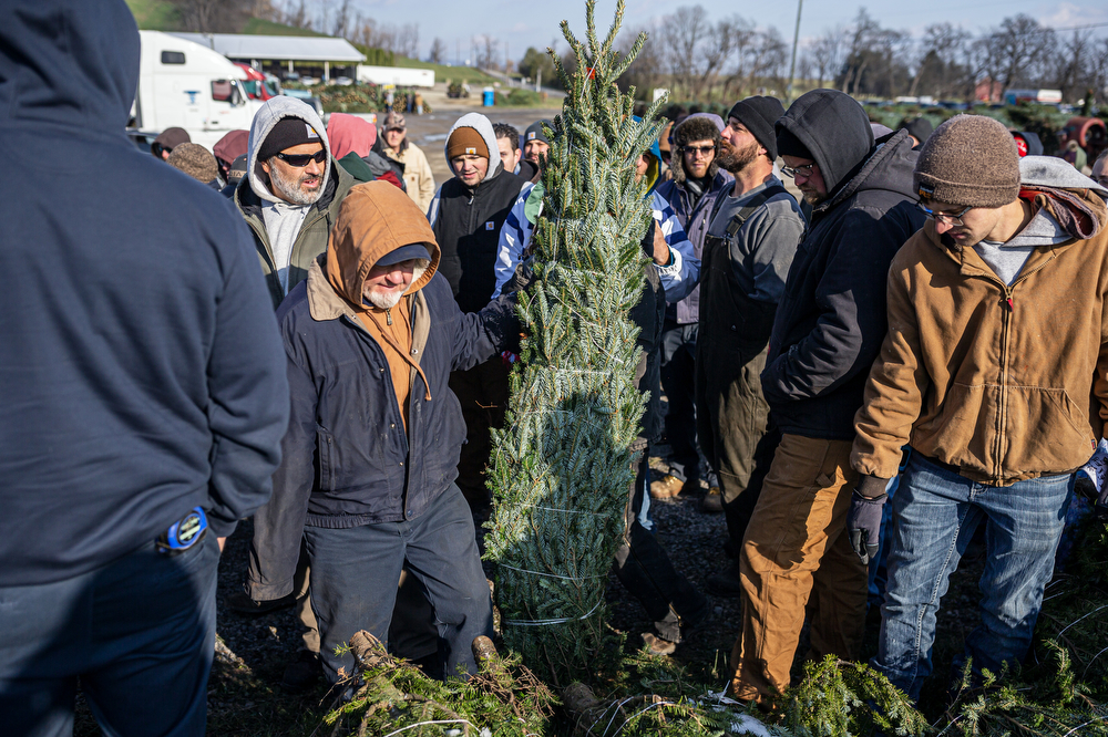 World’s largest Christmas tree auction at Buffalo Valley Produce Auction