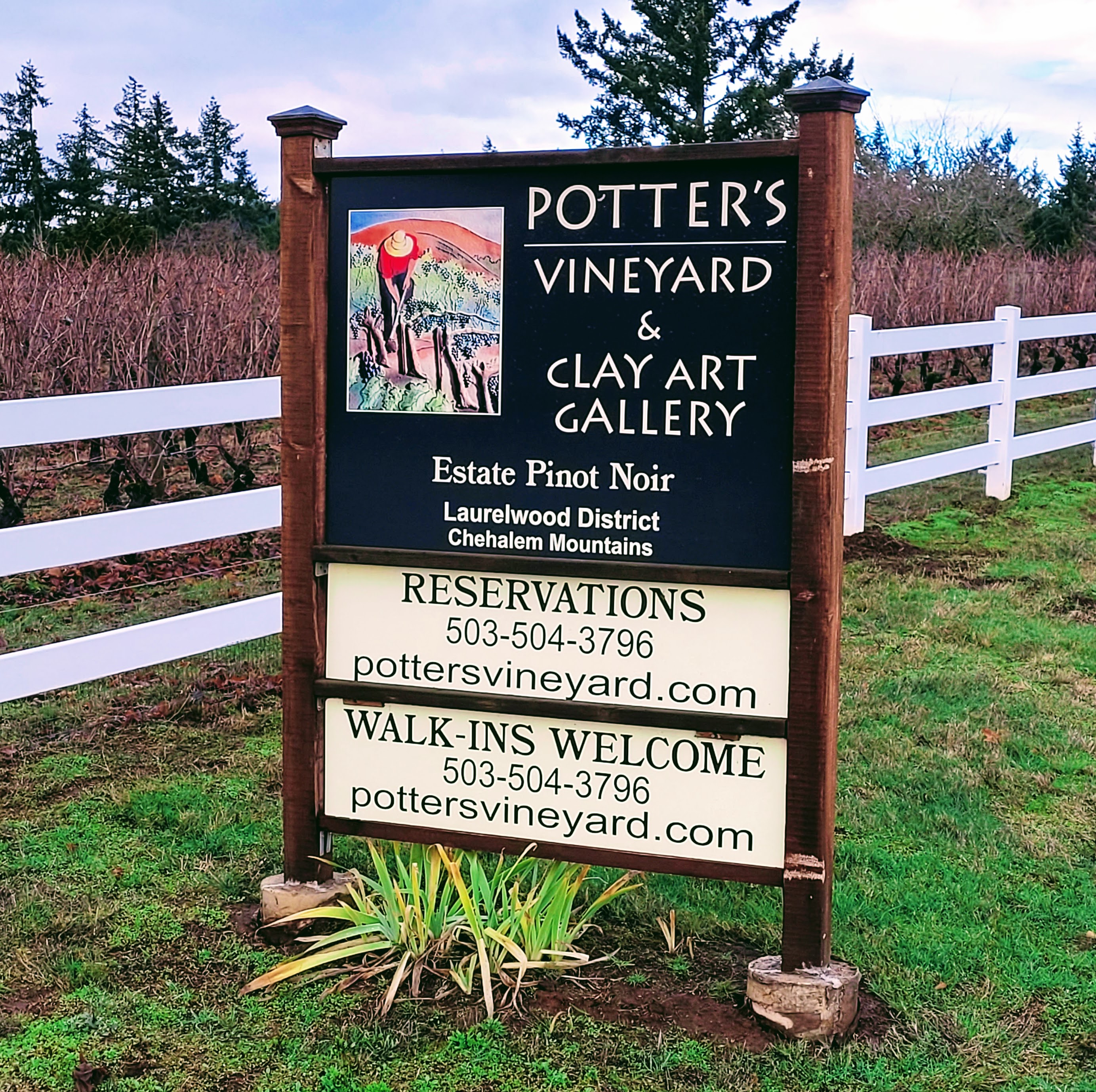 The Potter's Vineyard & Clay Art Gallery