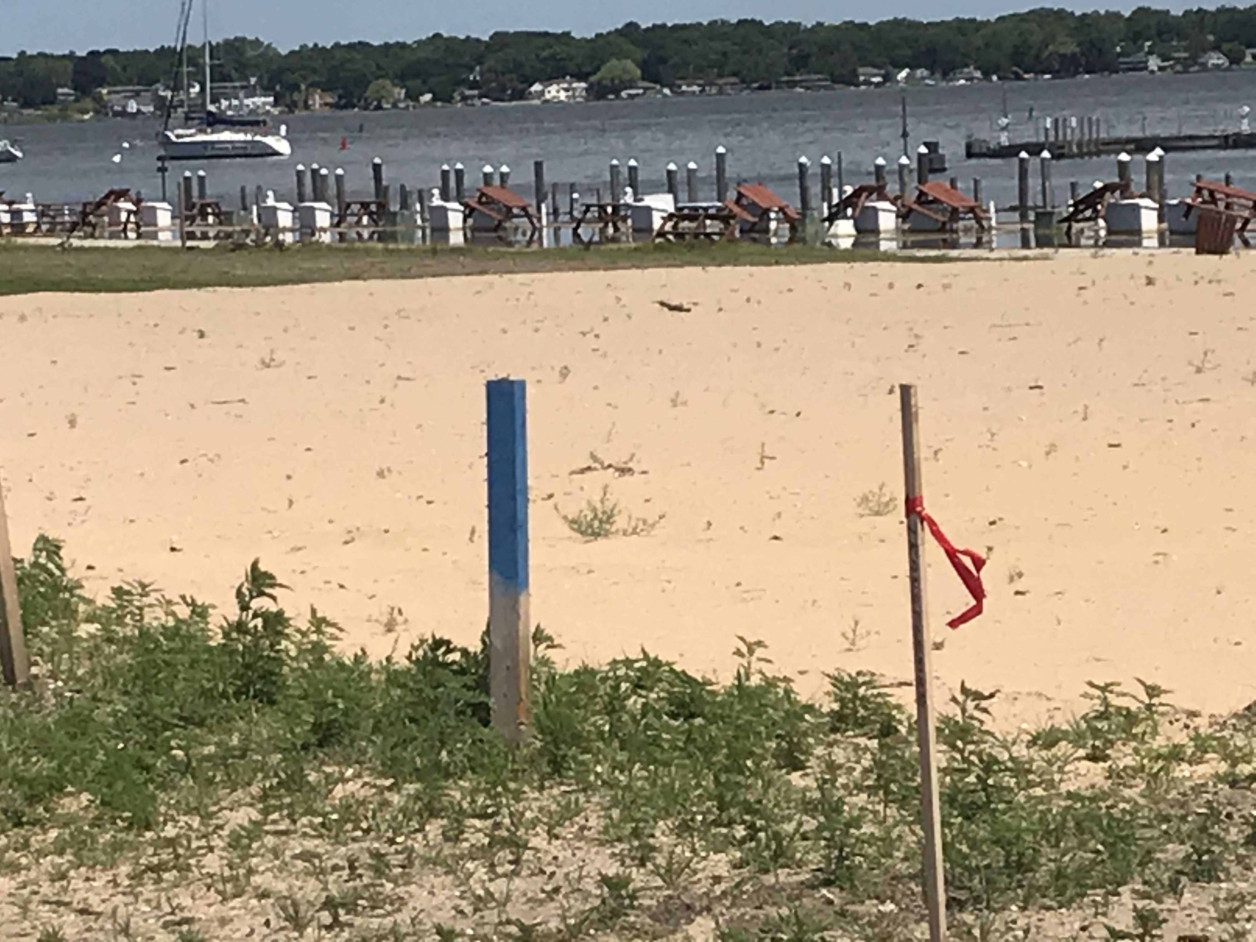 Hartshorn Marina to get improvements