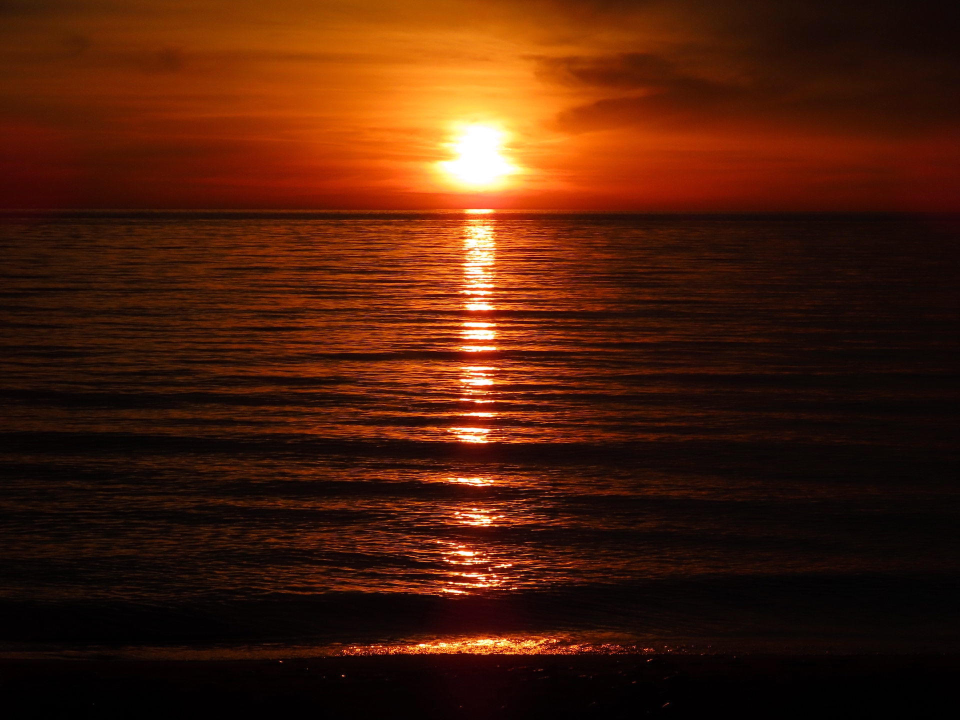 Lake Michigan alewife dieoff