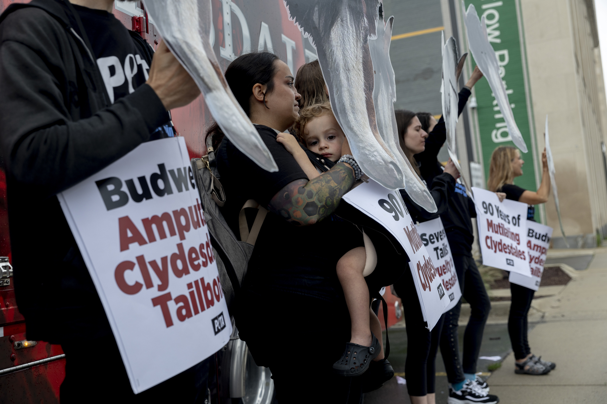 PETA protests Budweiser in Michigan for animal abuse, mutilation of ...