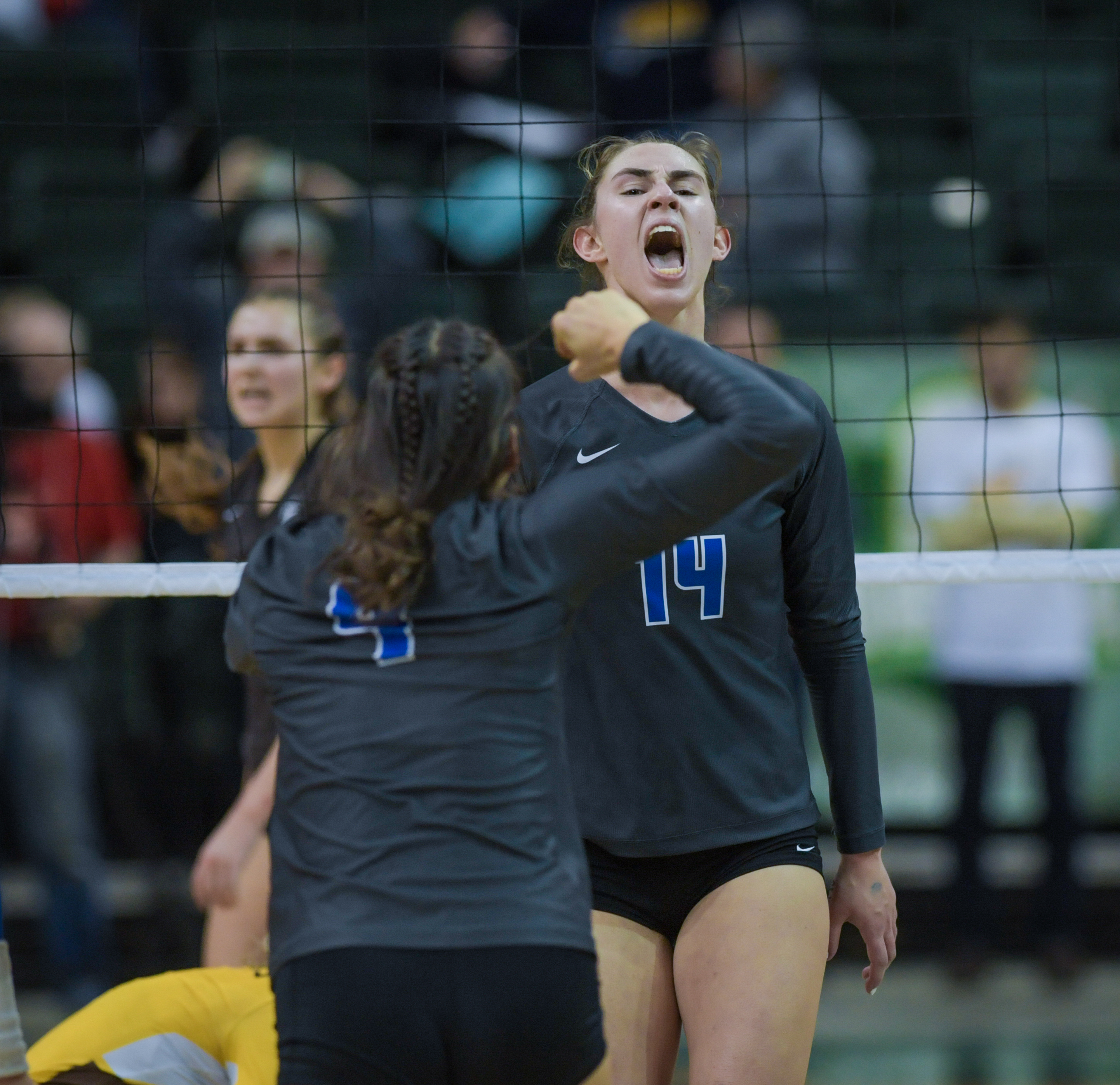 Division II volleyball Gilmour wins title - cleveland.com