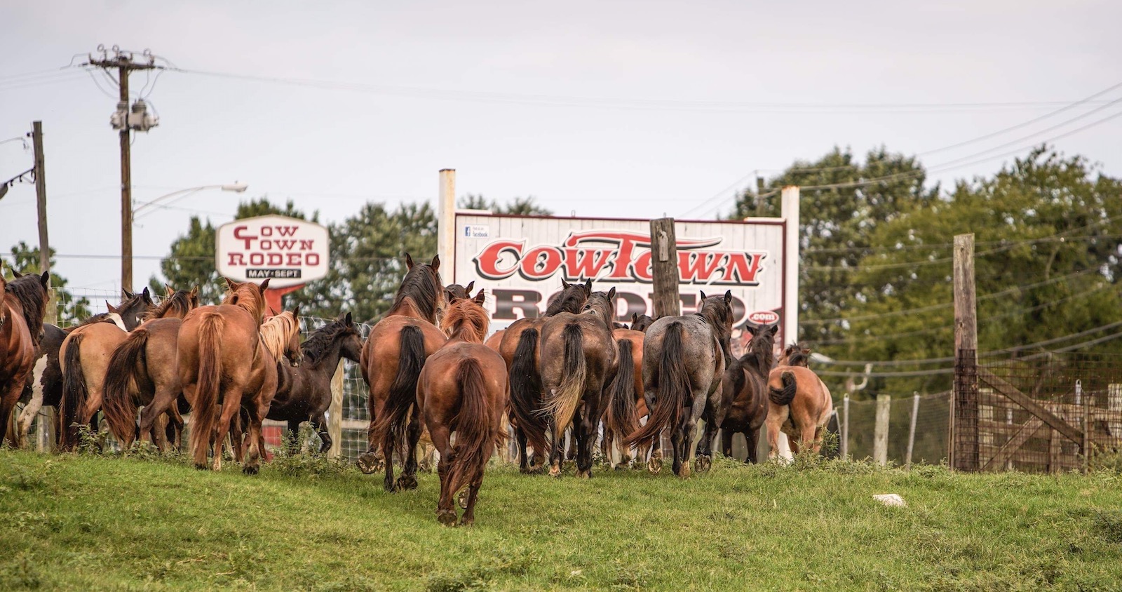 Coronavirus - Cowtown Rodeo