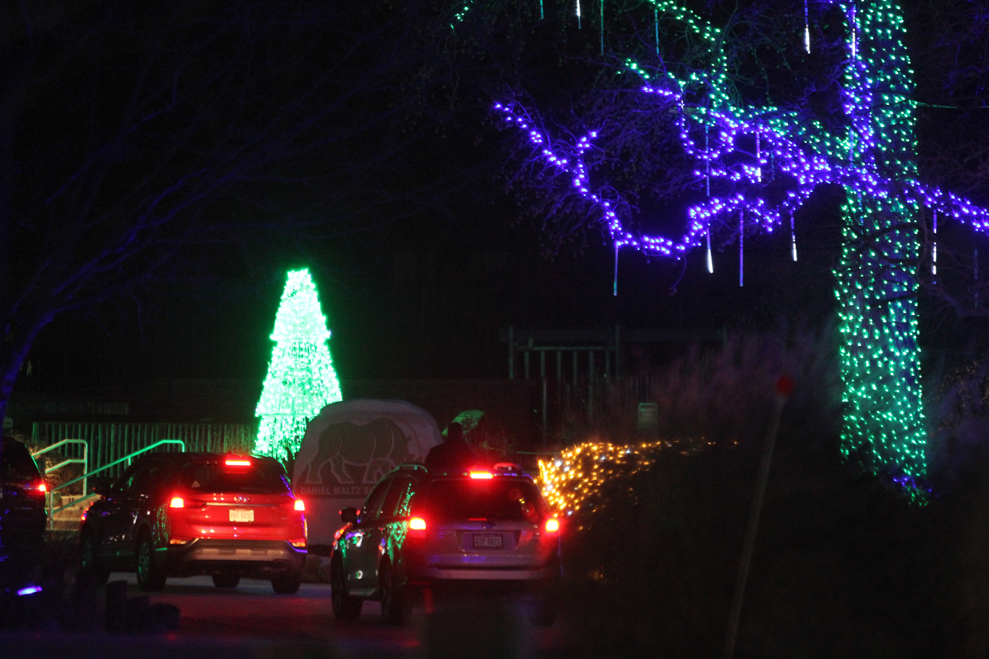Cleveland Zoo Christmas Lights 2021 Pictures