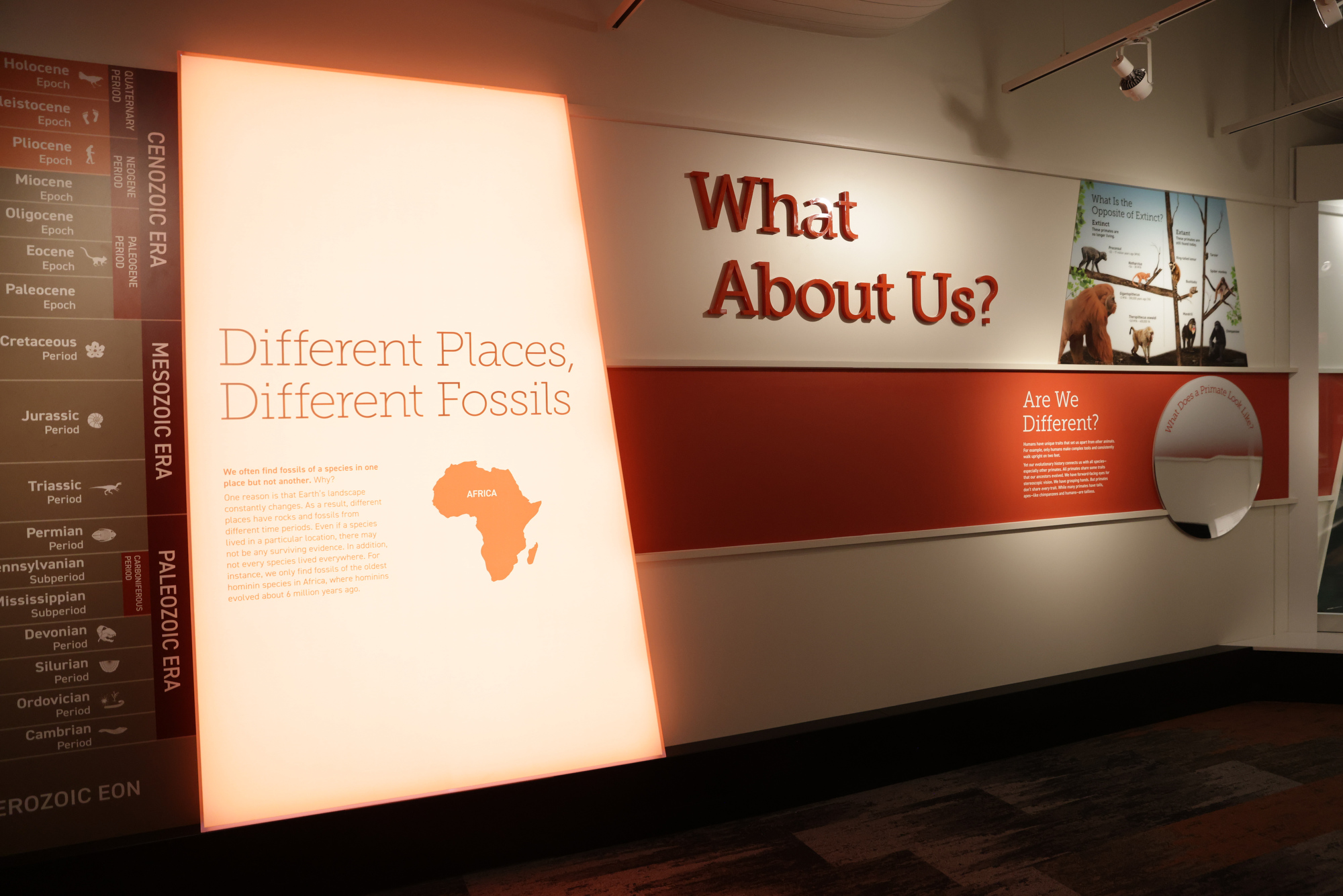 Reimagined Cleveland Museum of Natural History to unveil its