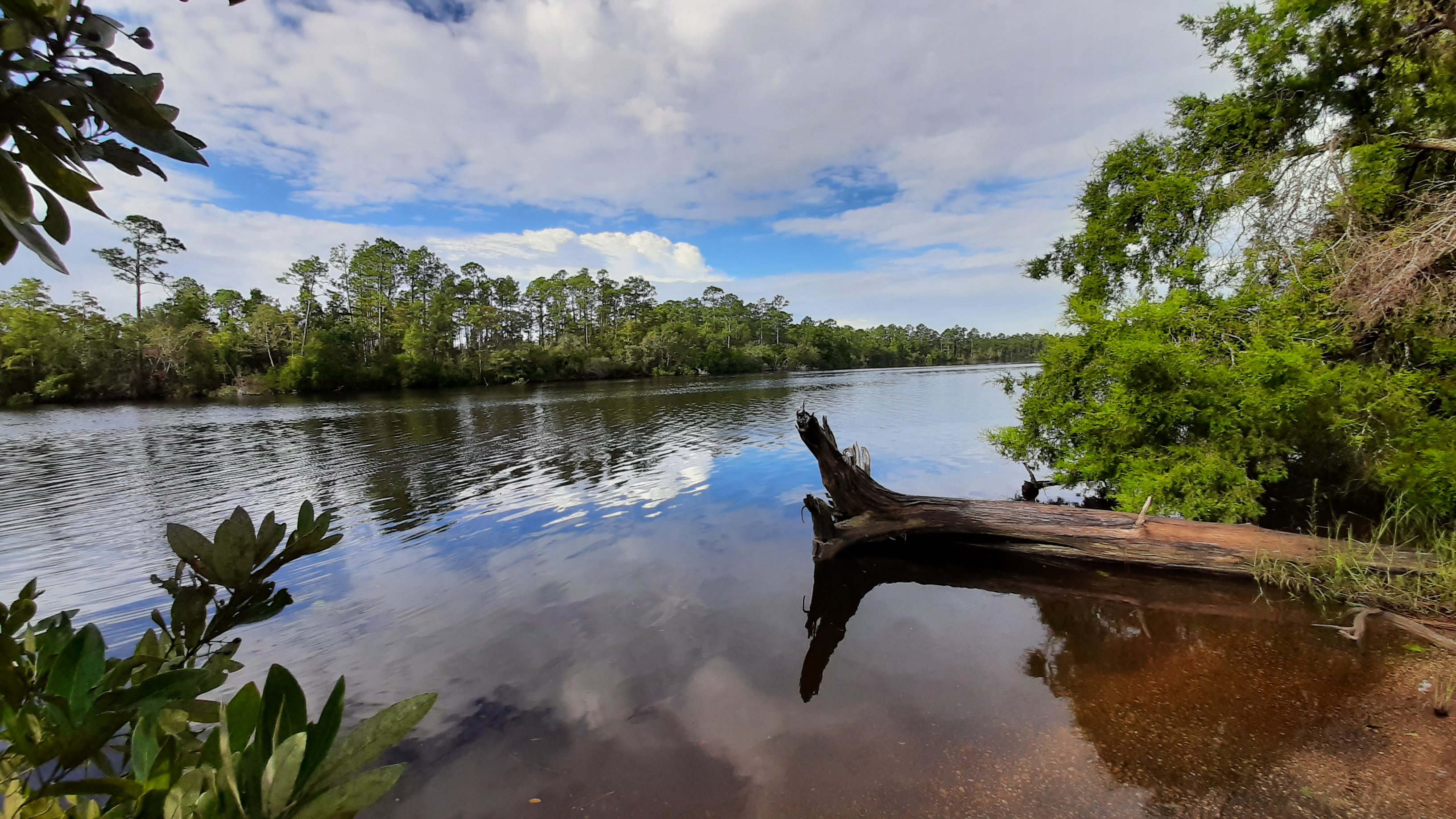 Lost' and found: The saving of the Perdido River - al.com