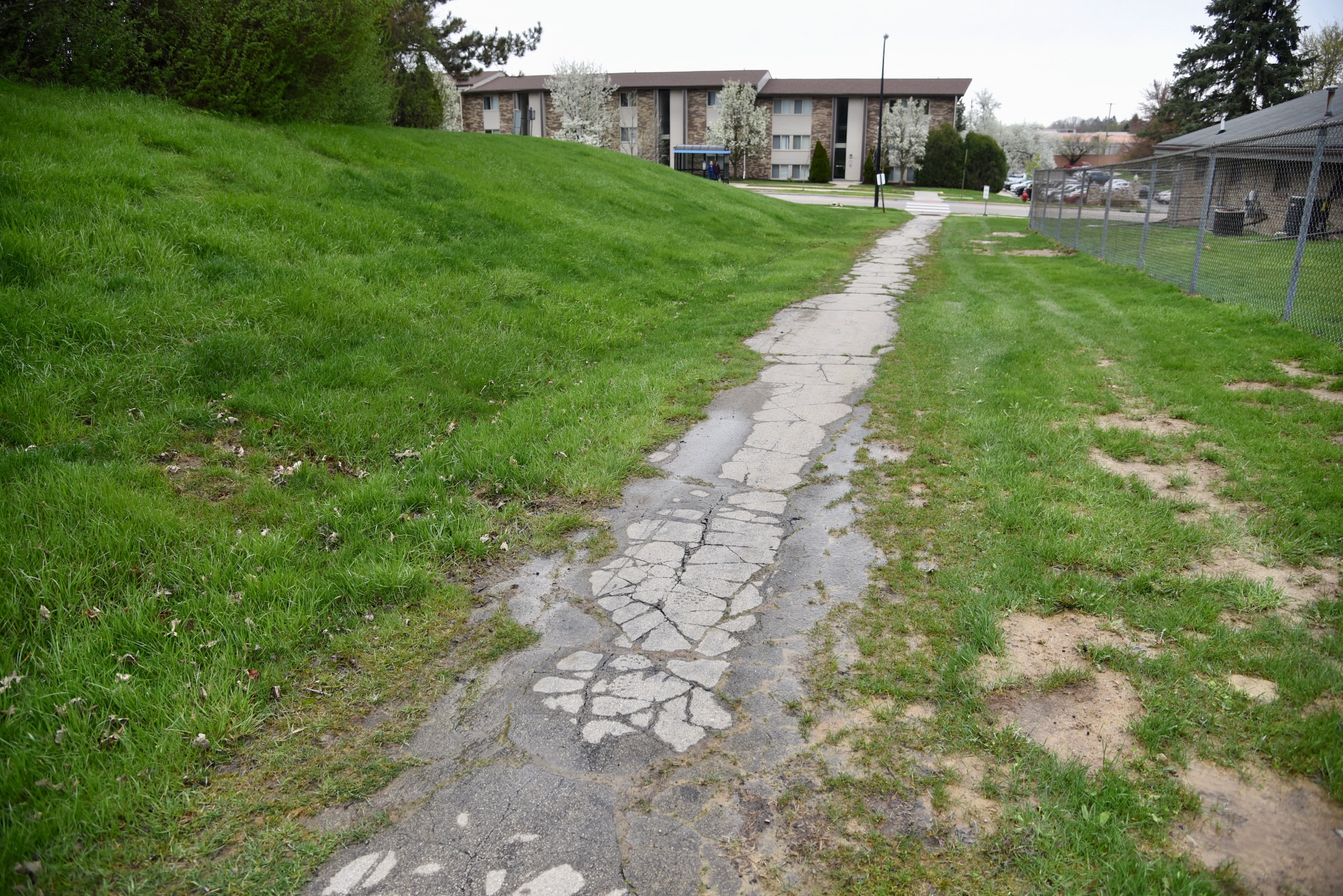 RunnymedePauline asphalt path in Ann Arbor crumbling, muddy and
