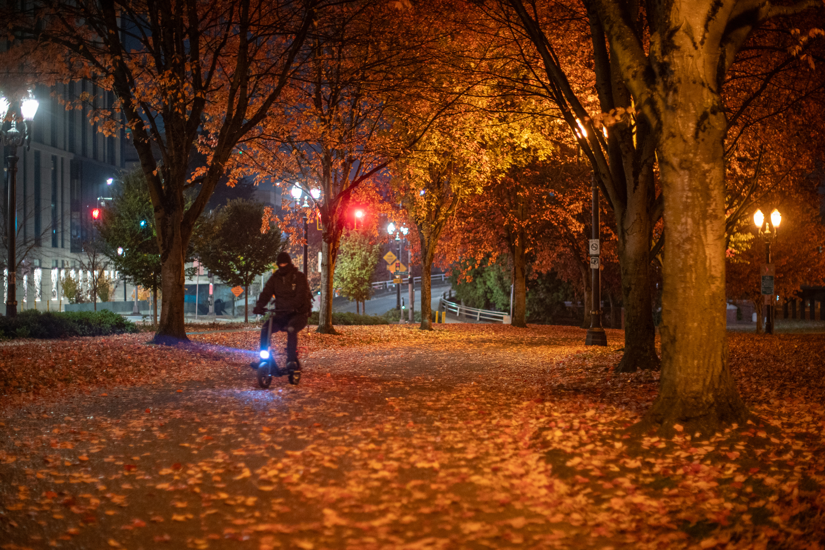 A fall Portland night November 7, 2024 - oregonlive.com