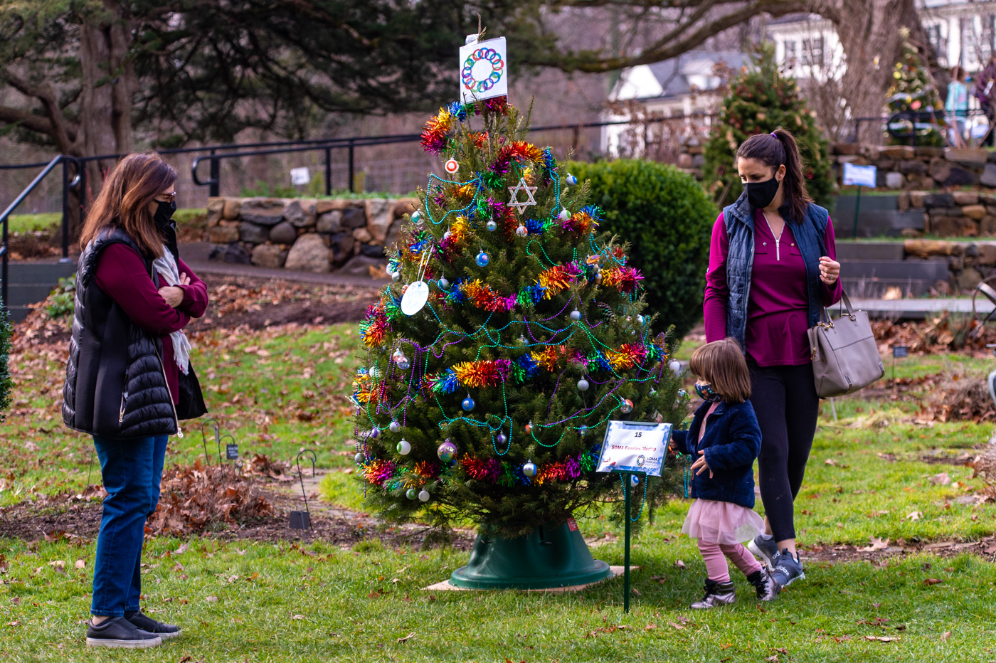 Hyperlocal Festival of Trees 