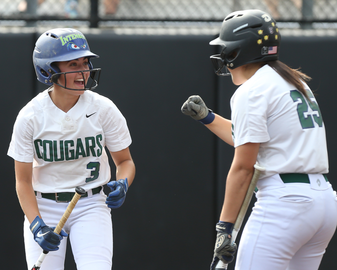 Softball: No. 2 Colts Neck vs. Cranford for Group 3 championship on ...