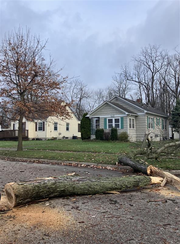 Storm damage in Southwest Michigan - mlive.com