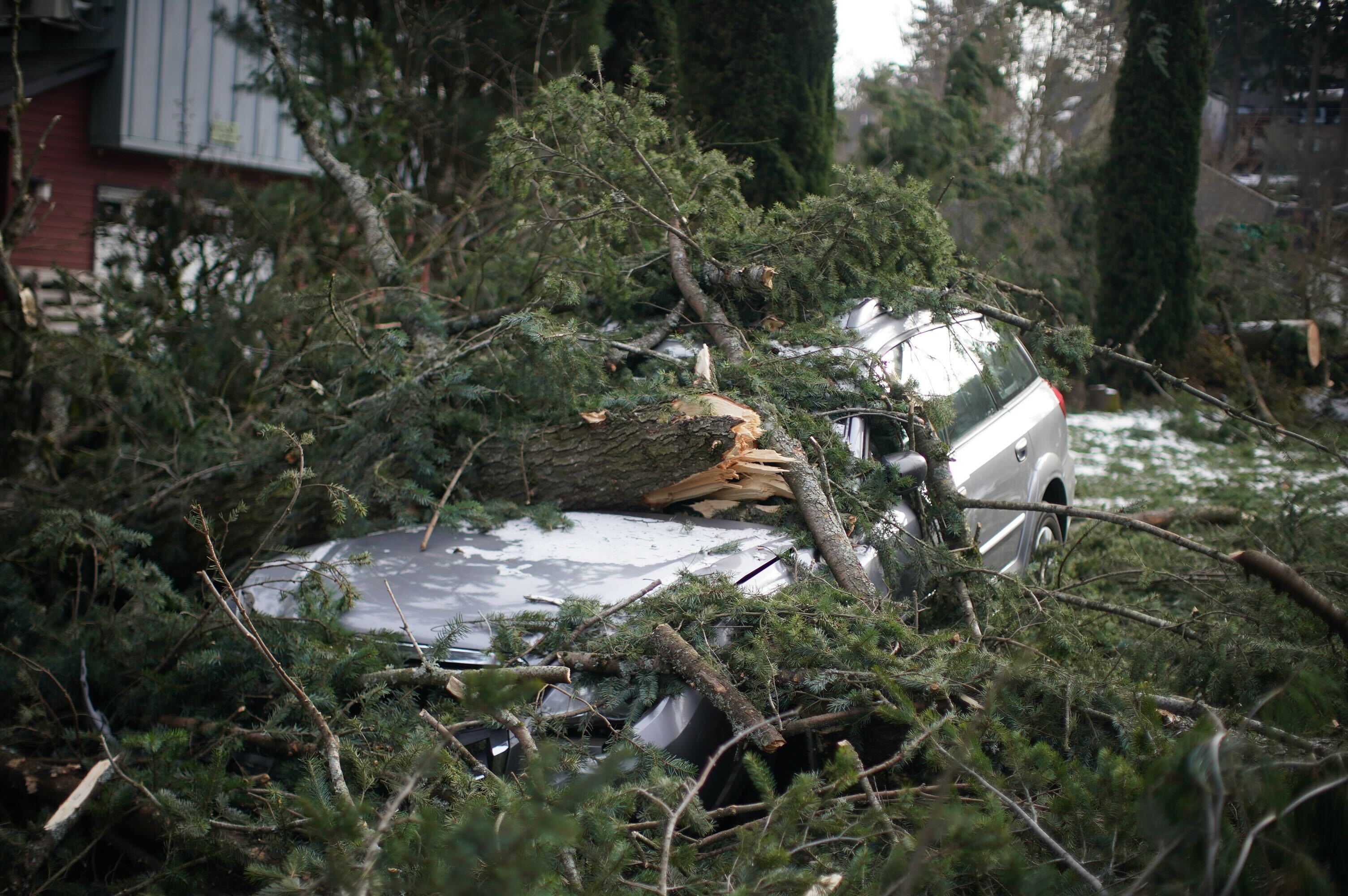 Oregon Winter Storm Day 5 January 2024