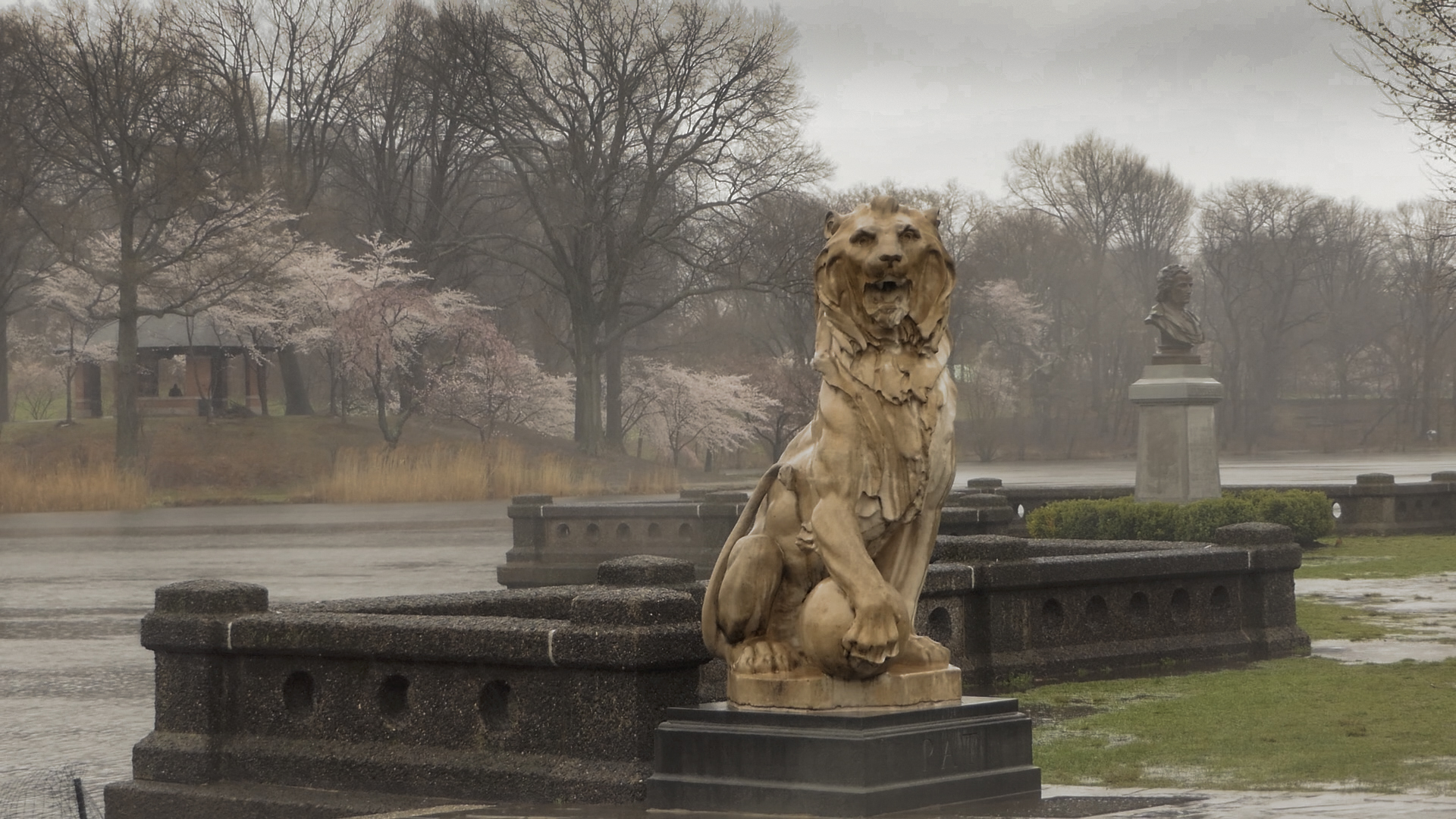 In Newark, famed cherry blossoms bathe landscape in kaleidoscope of color -  Jersey's Best