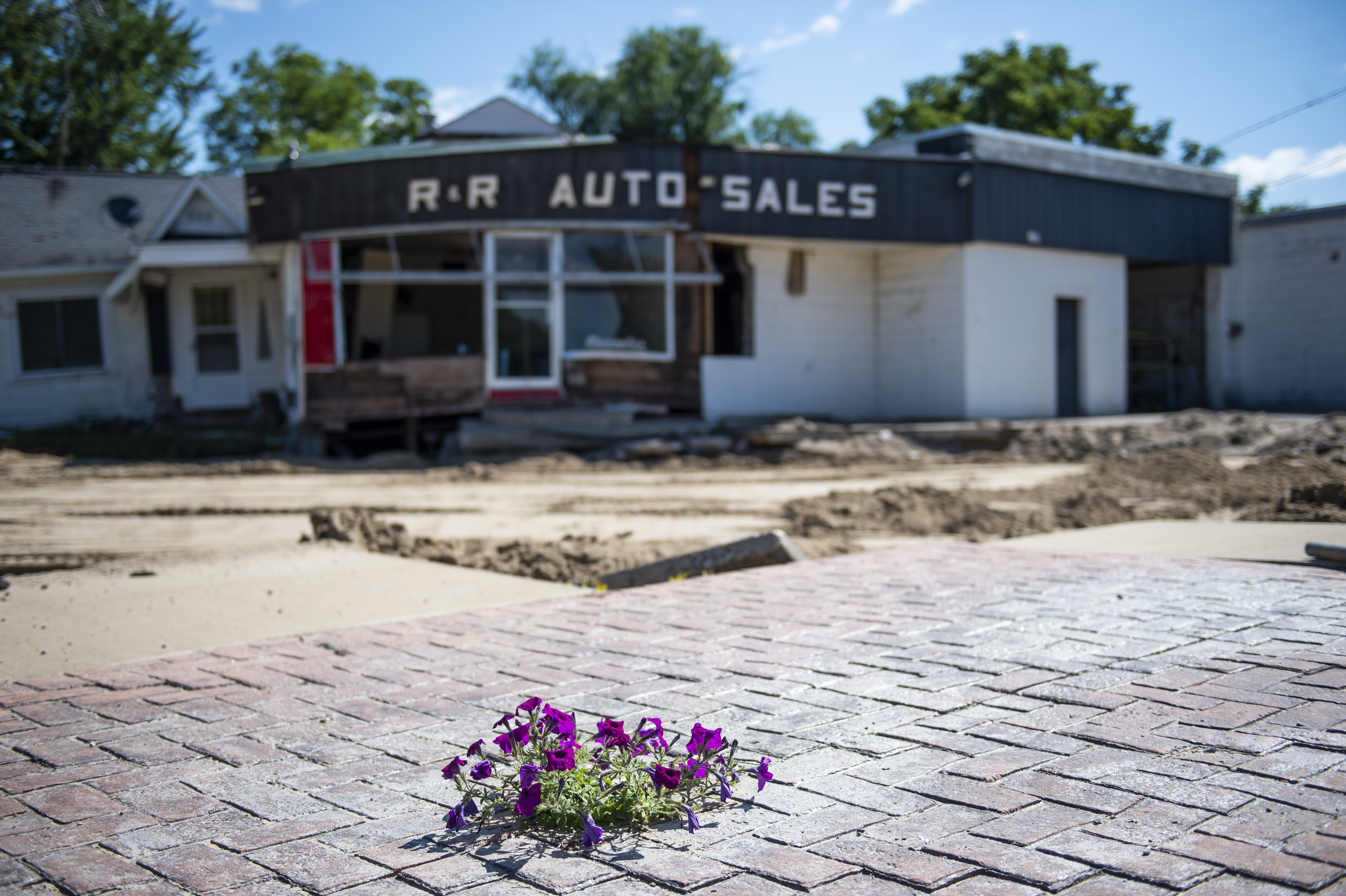 Flowers grow through the brick in front of R and R Auto Sales near the Sanford Dam in Sanford on Thursday, July 30, 2020. The devastating flood in May gushed over the majority of land in this area. (Kaytie Boomer | MLive.com)