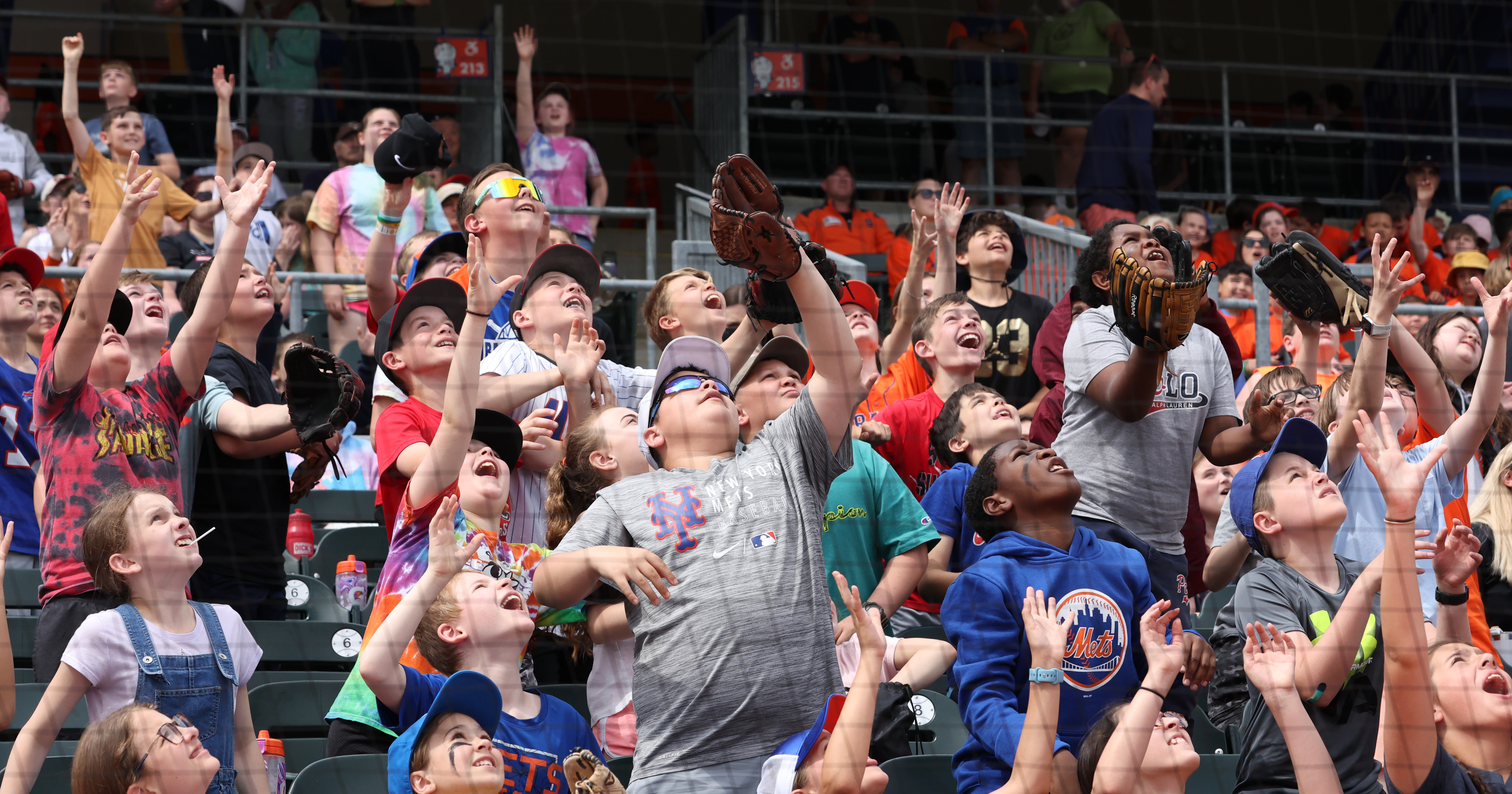 Syracuse Mets postpone Bark in the Park night because of weather forecast 