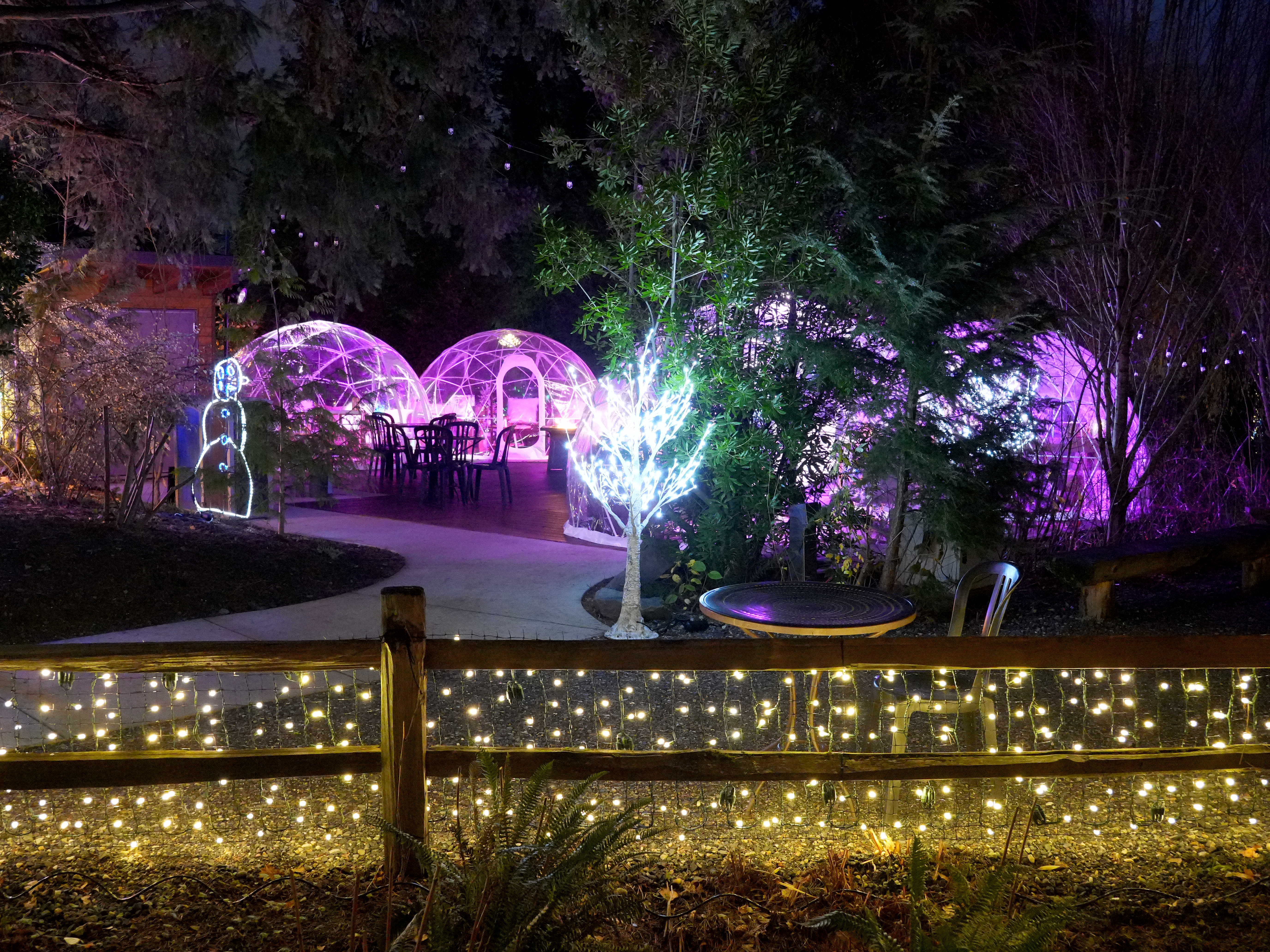 ネオン風 ライト　ミラー　OPEN パームツリー ワーゲン Oregon Zoo ZooLights Snow Globes - oregonlive.com