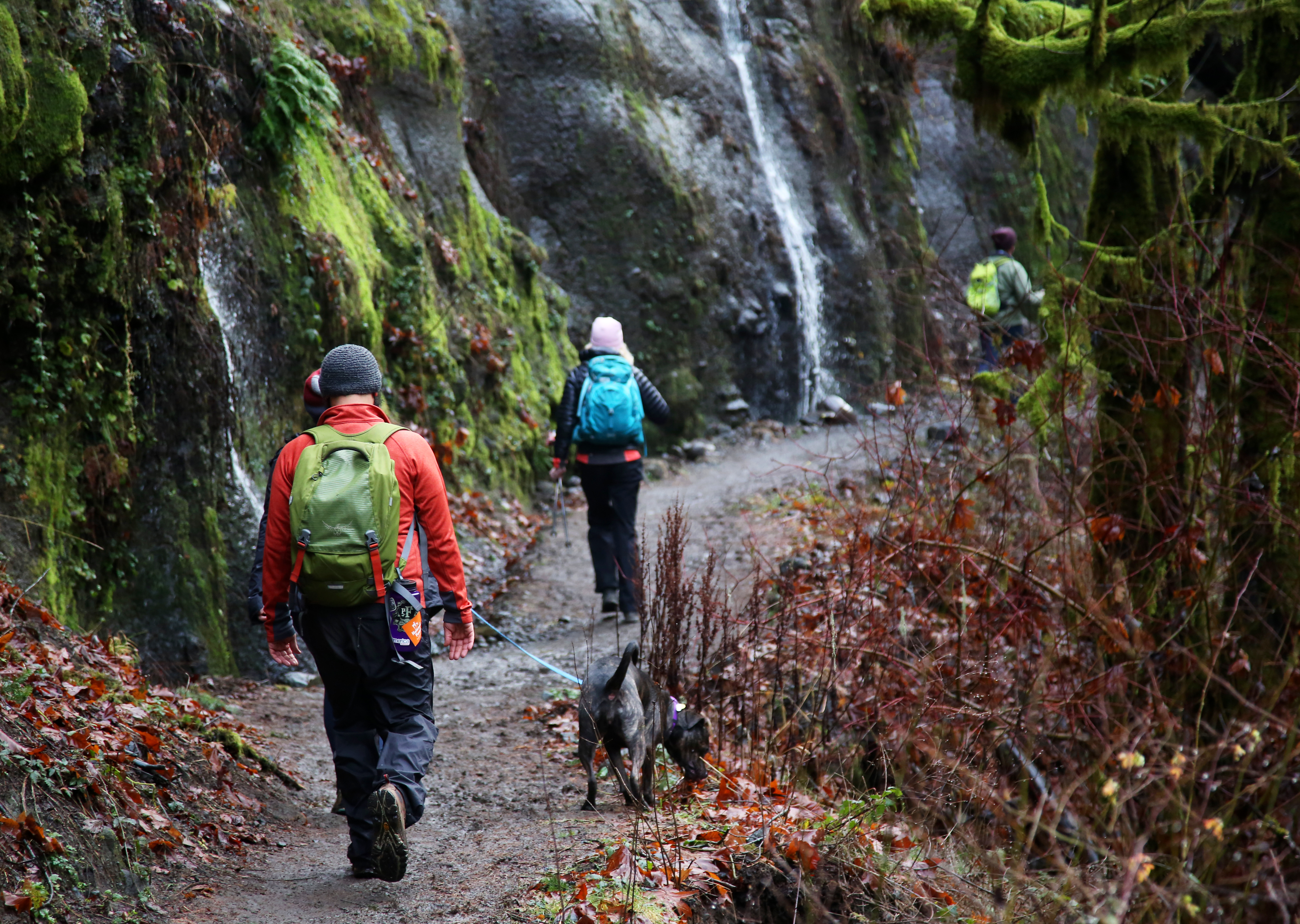 The Eagle Creek Trail Is The Best Of The Columbia River Gorge - Backpacker