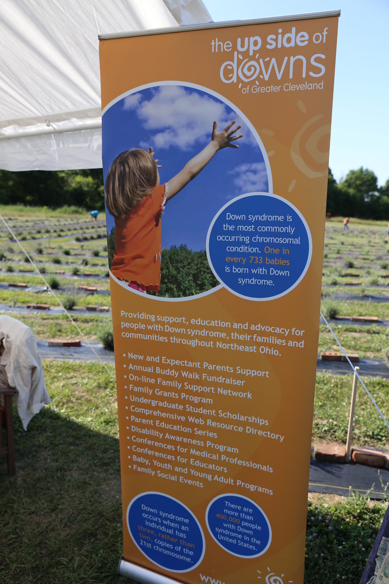 Lavender Trails Farm in Orrville