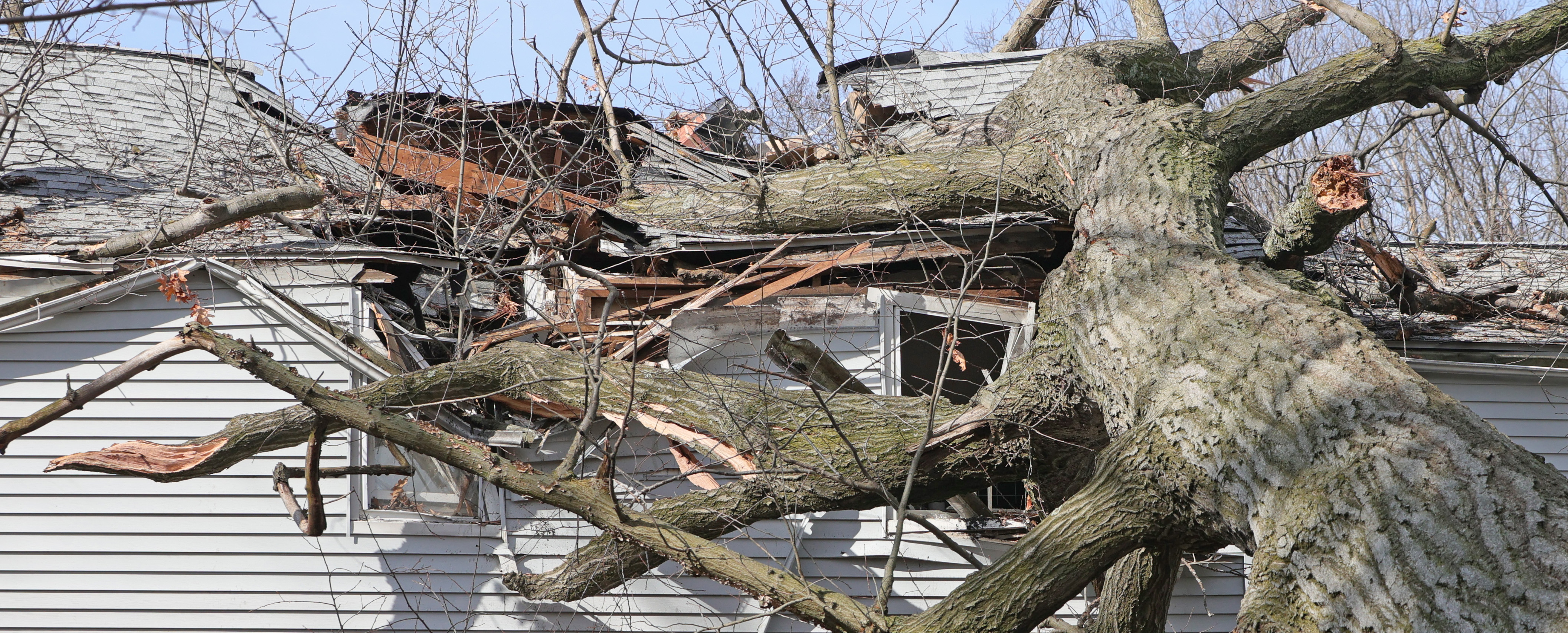 South Euclid home’s upper floor destroyed by fallen tree, February 28 ...