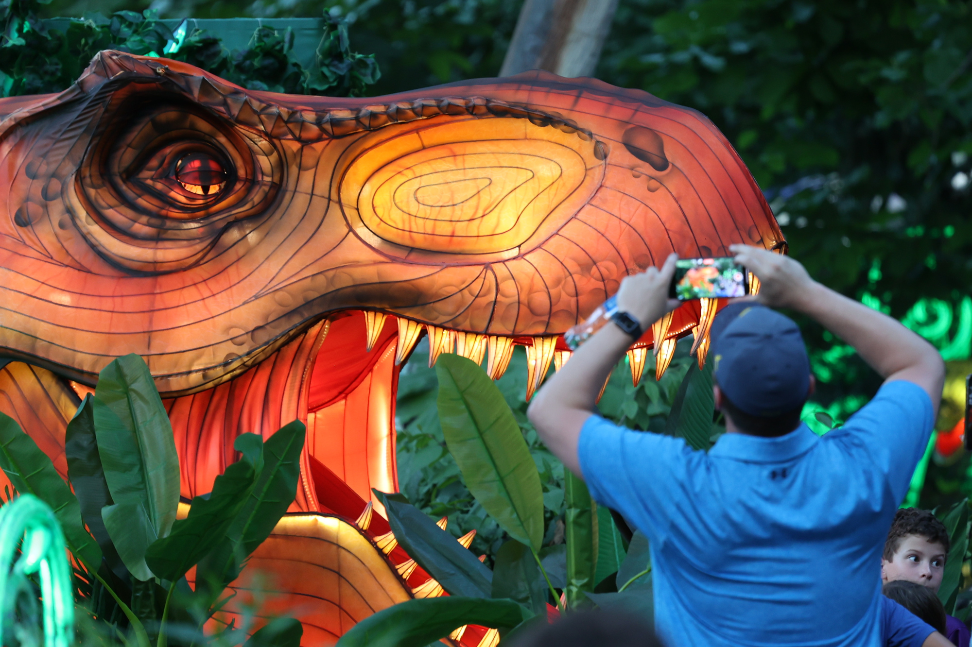 Asian Lantern Festival lights up the Cleveland Zoo - cleveland.com