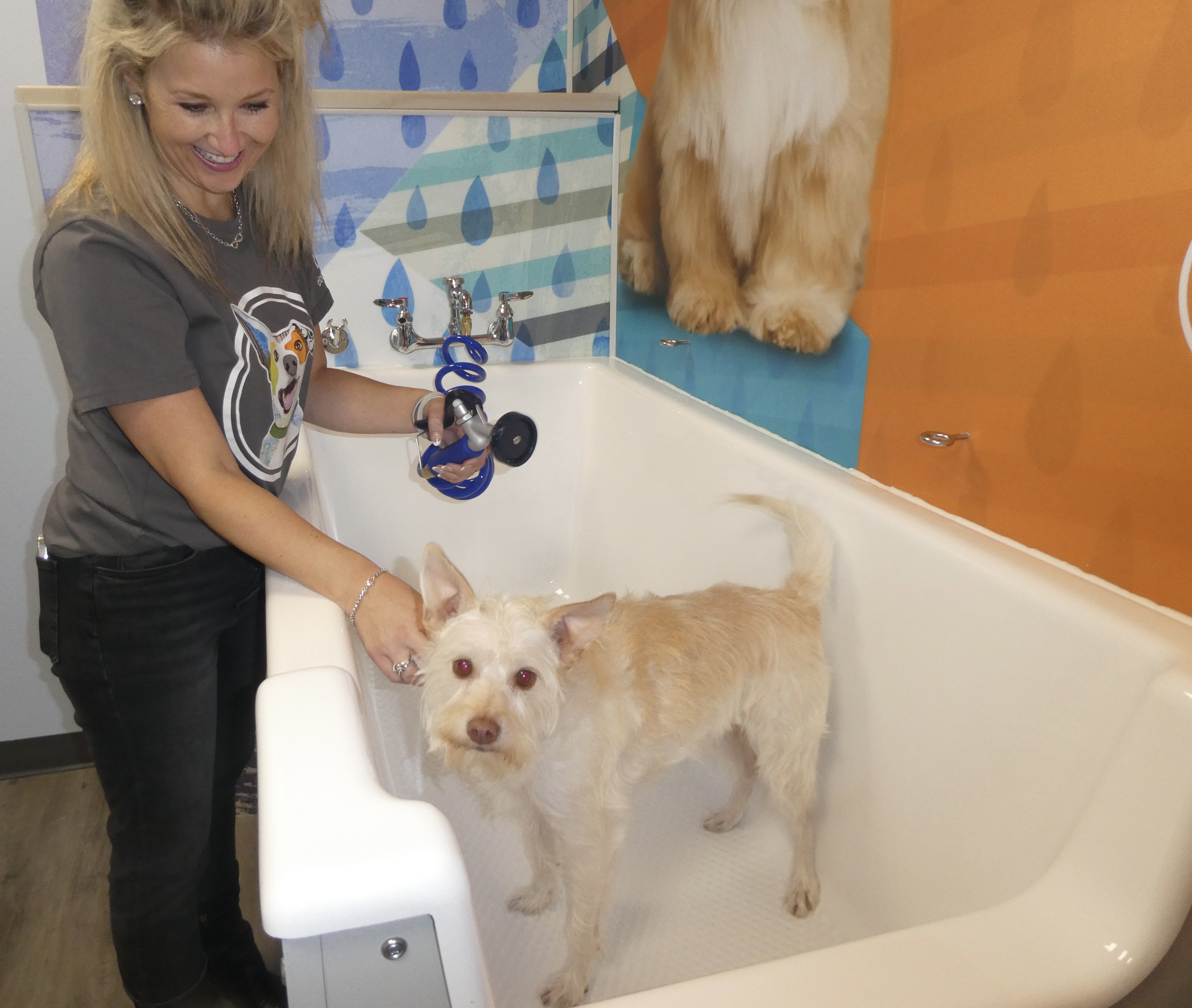 Dogtopia of Solon hires general manager set to open Dec. 4 at