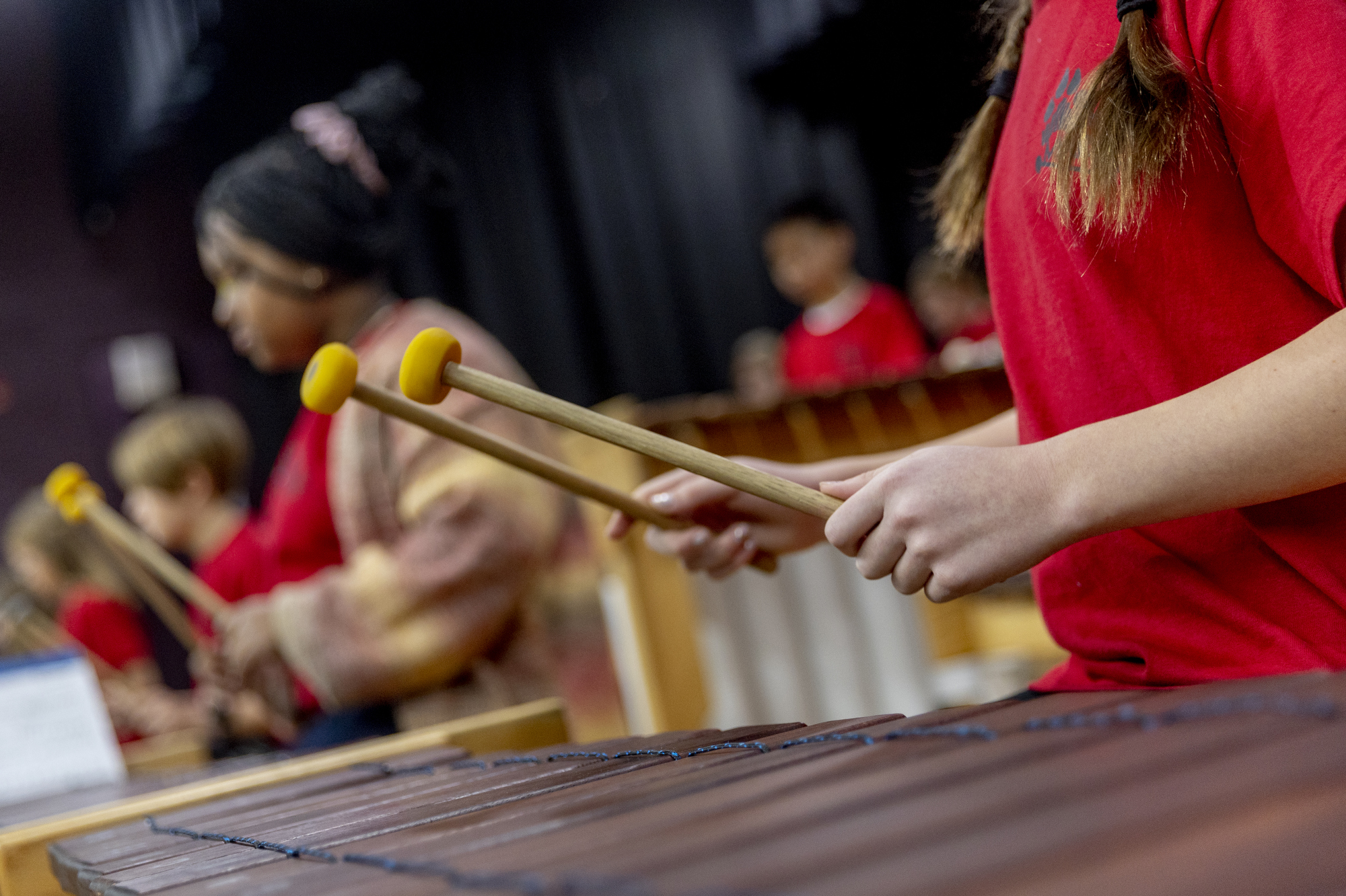 Grand Blanc schools provides unique marimba band class with handmade