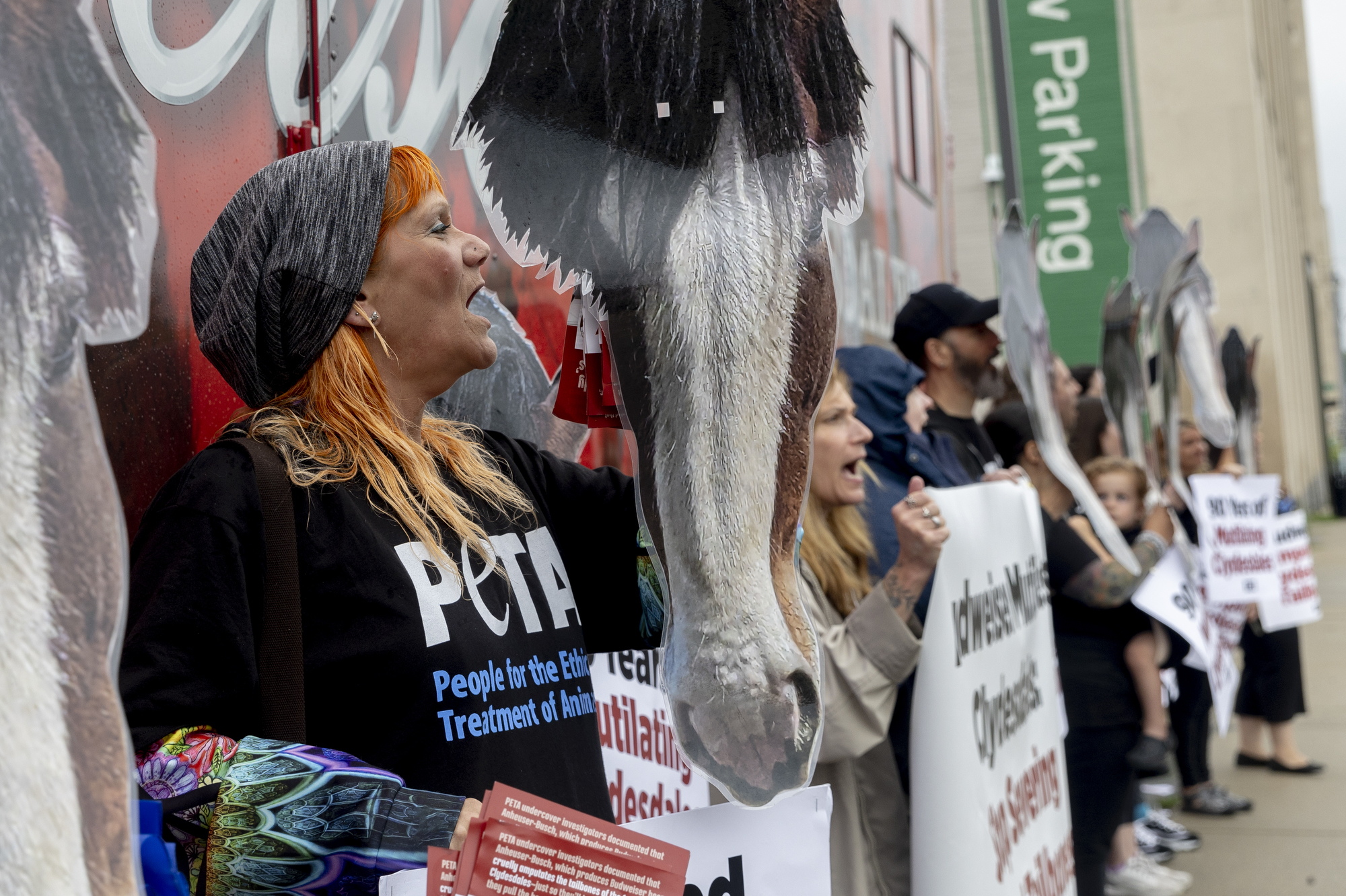 PETA protests Budweiser in Michigan for animal abuse, mutilation of ...