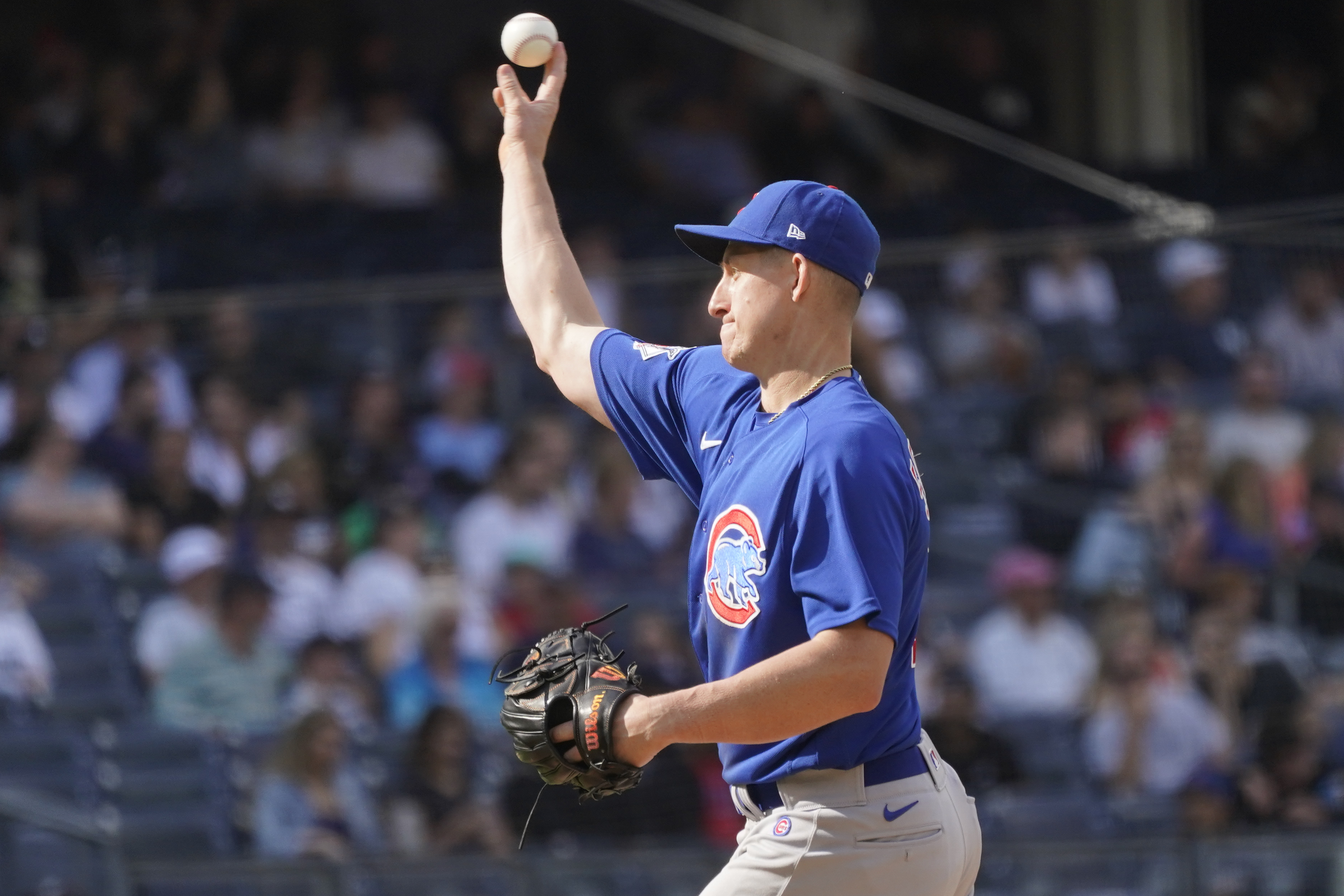 What can the Cubs expect out of Frank Schwindel in year two?