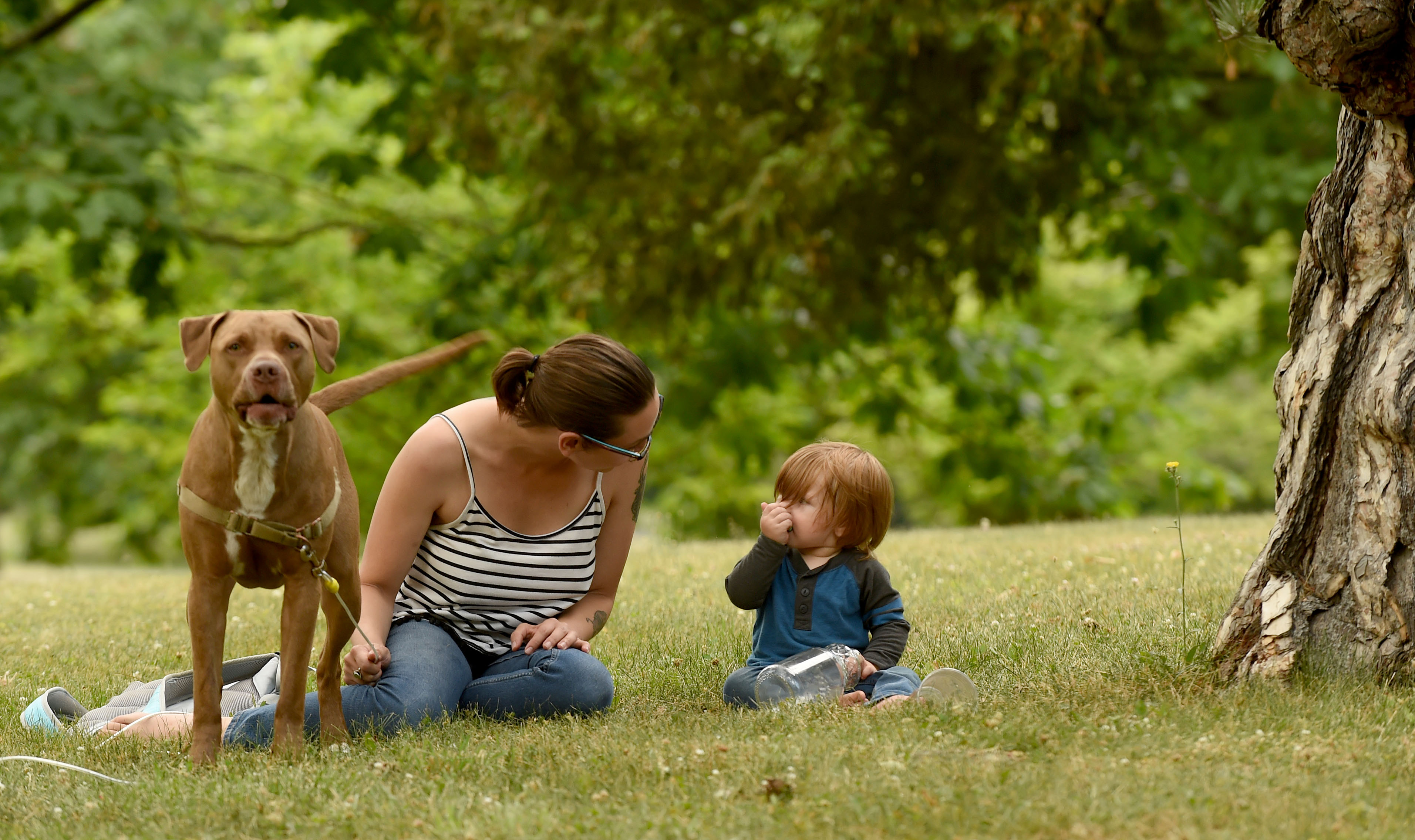 People are still looking for a way to cool down during a heat spell in Syracuse, July 8, 2020.  Rachel and her son Jesse Currier find some shade in Onondaga Park with dog Rambo. Dennis Nett | dnett@syracuse.com