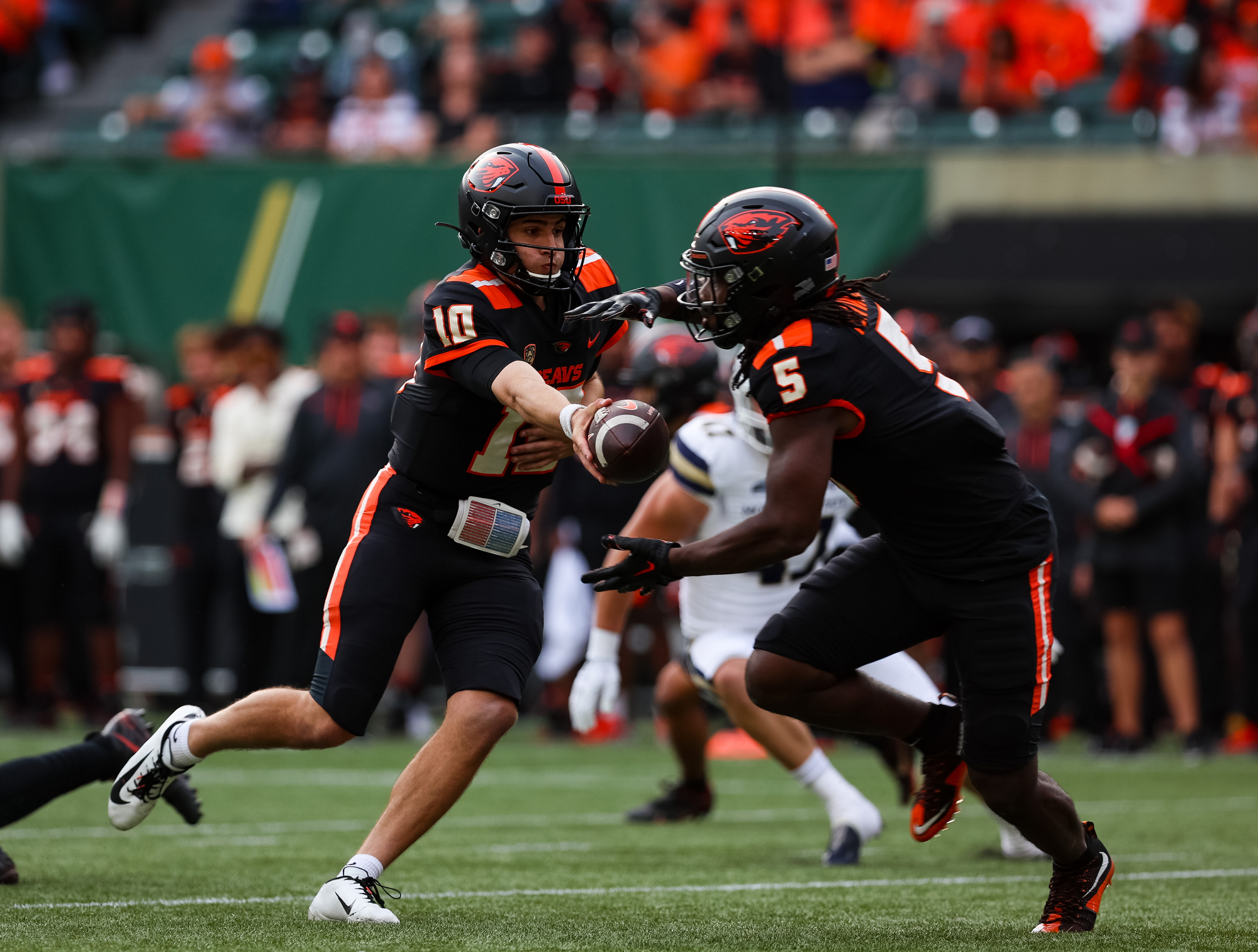 Oregon State Beavers Return to Portland to Host the Montana State Bobcats  on Saturday