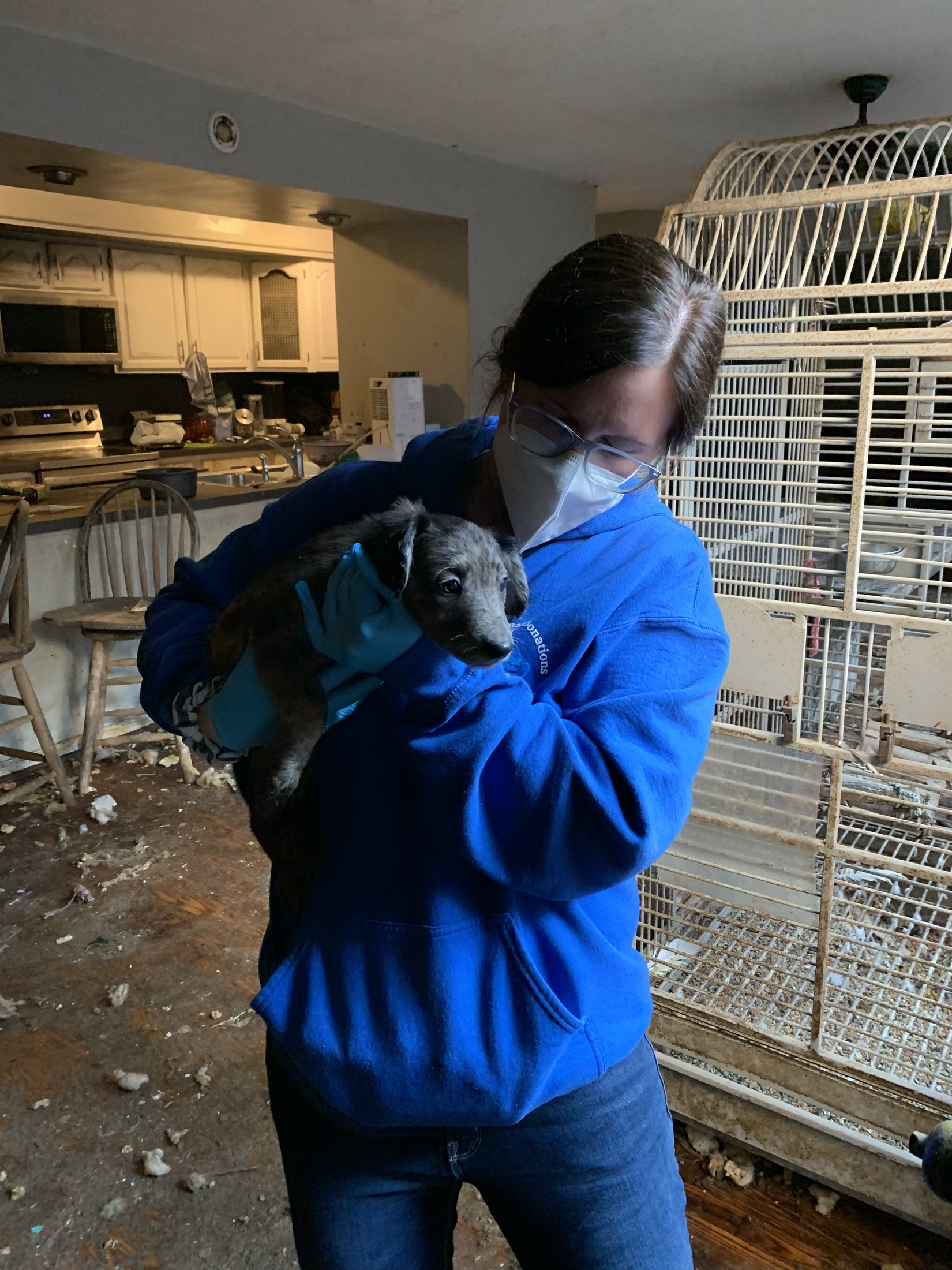 See why more than 90 living, dead animals were seized from Michigan ...