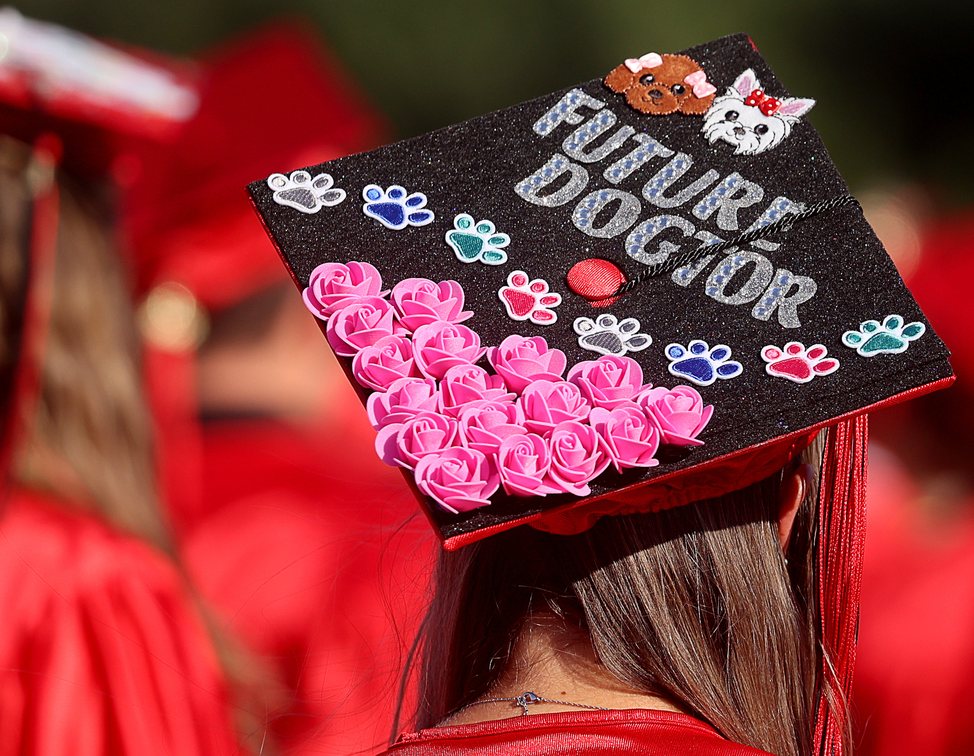 29,000+ Graduation Caps Pictures